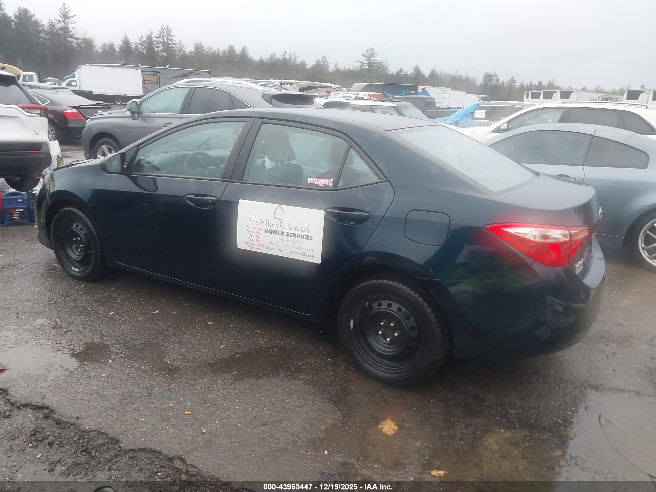 TOYOTA COROLLA image 3