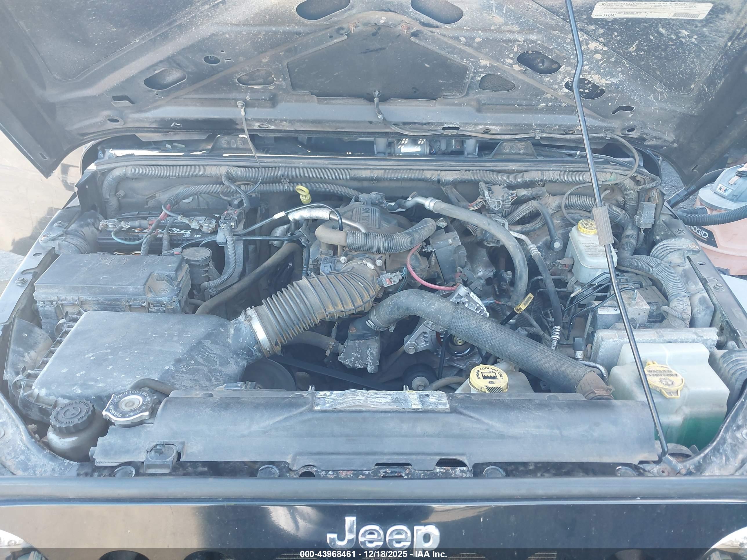 JEEP WRANGLER image 10