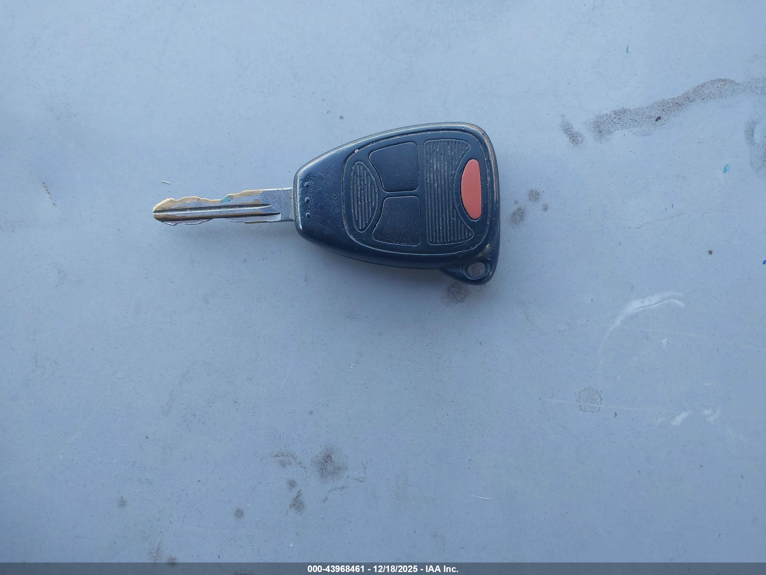 JEEP WRANGLER image 11