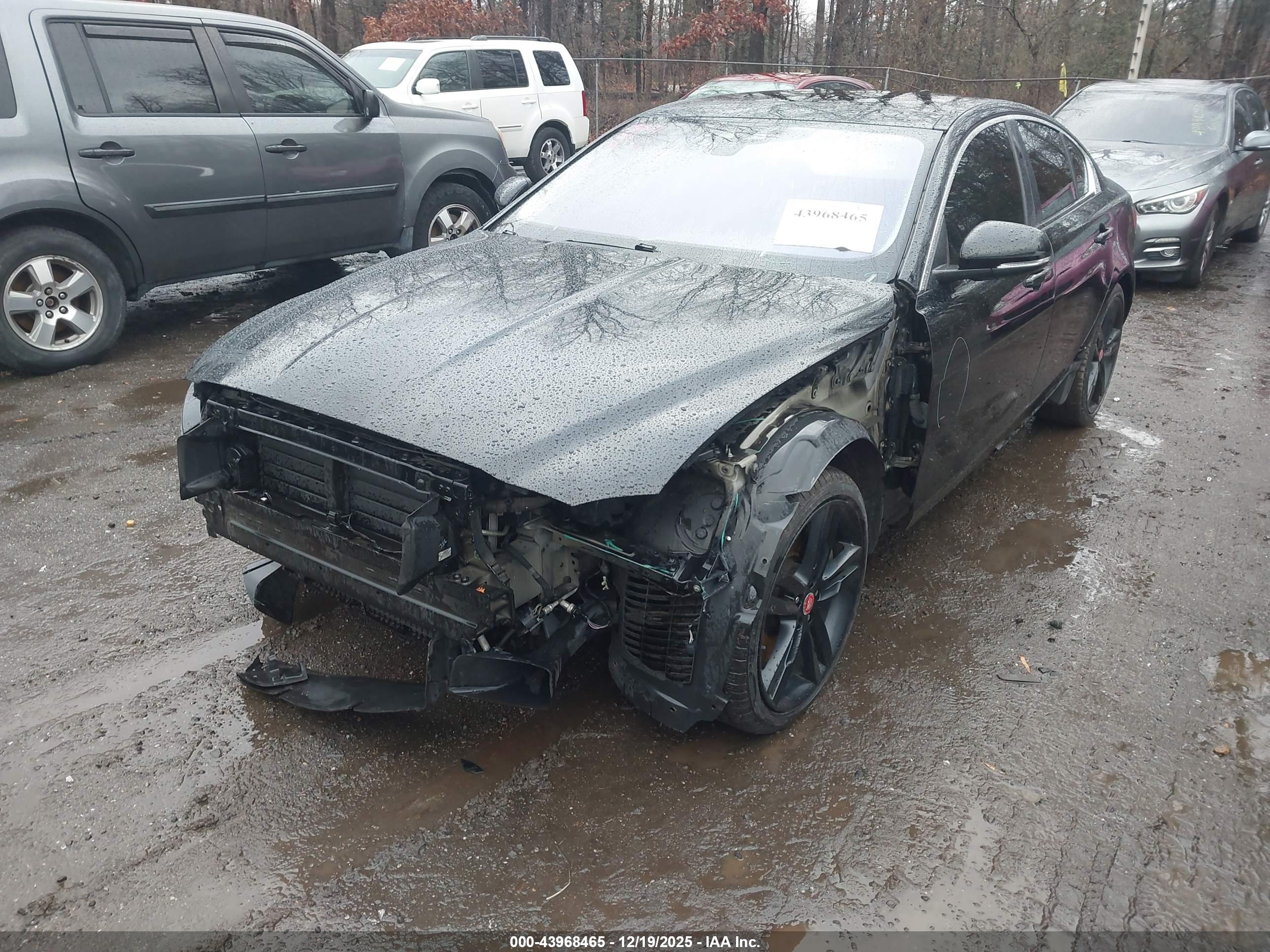 JAGUAR XE image 6