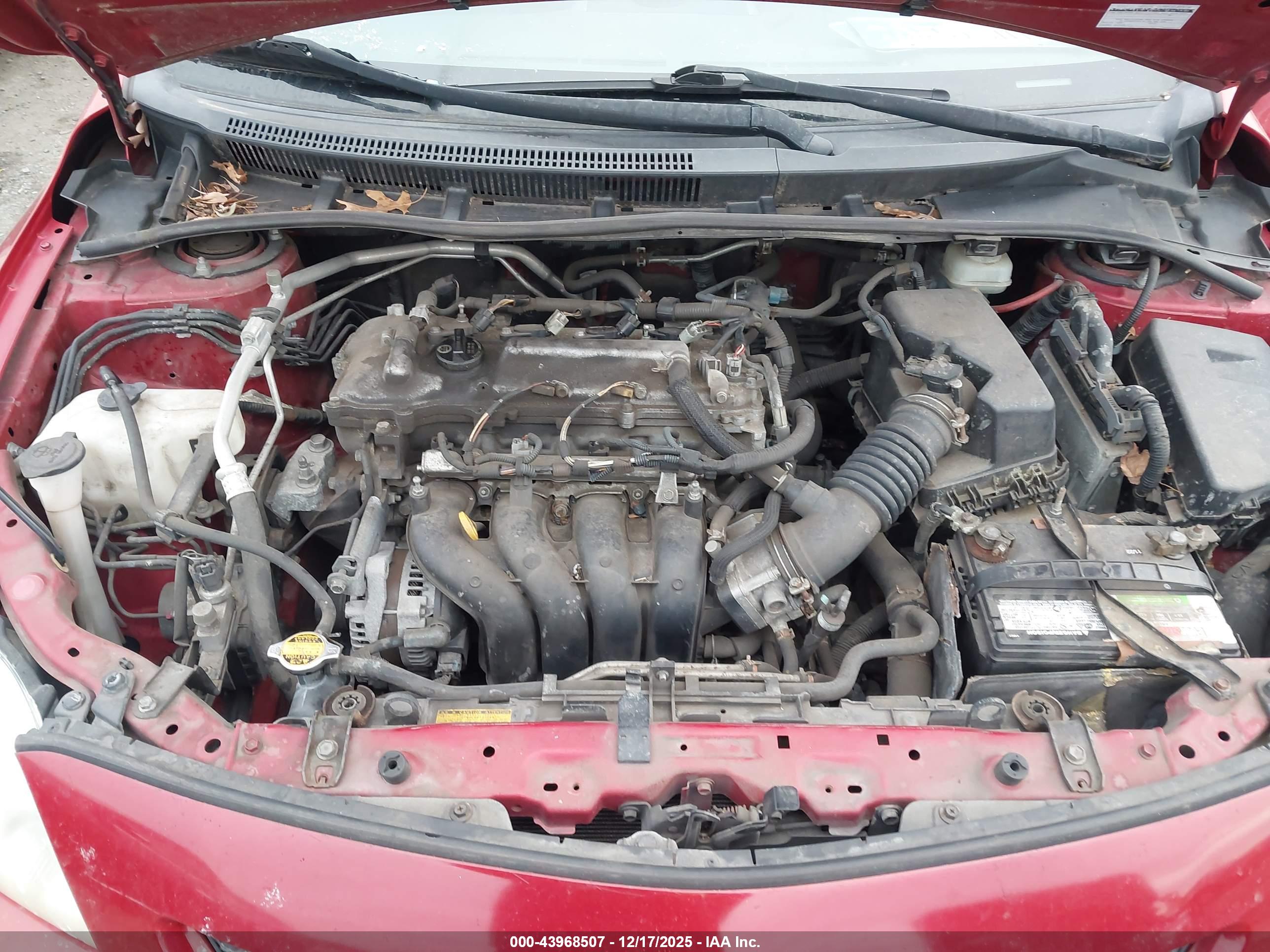 TOYOTA COROLLA image 10