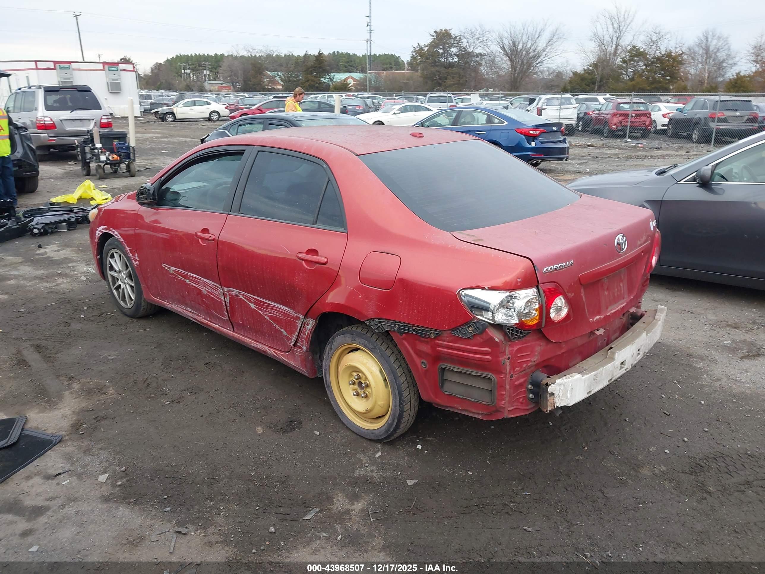 TOYOTA COROLLA image 3