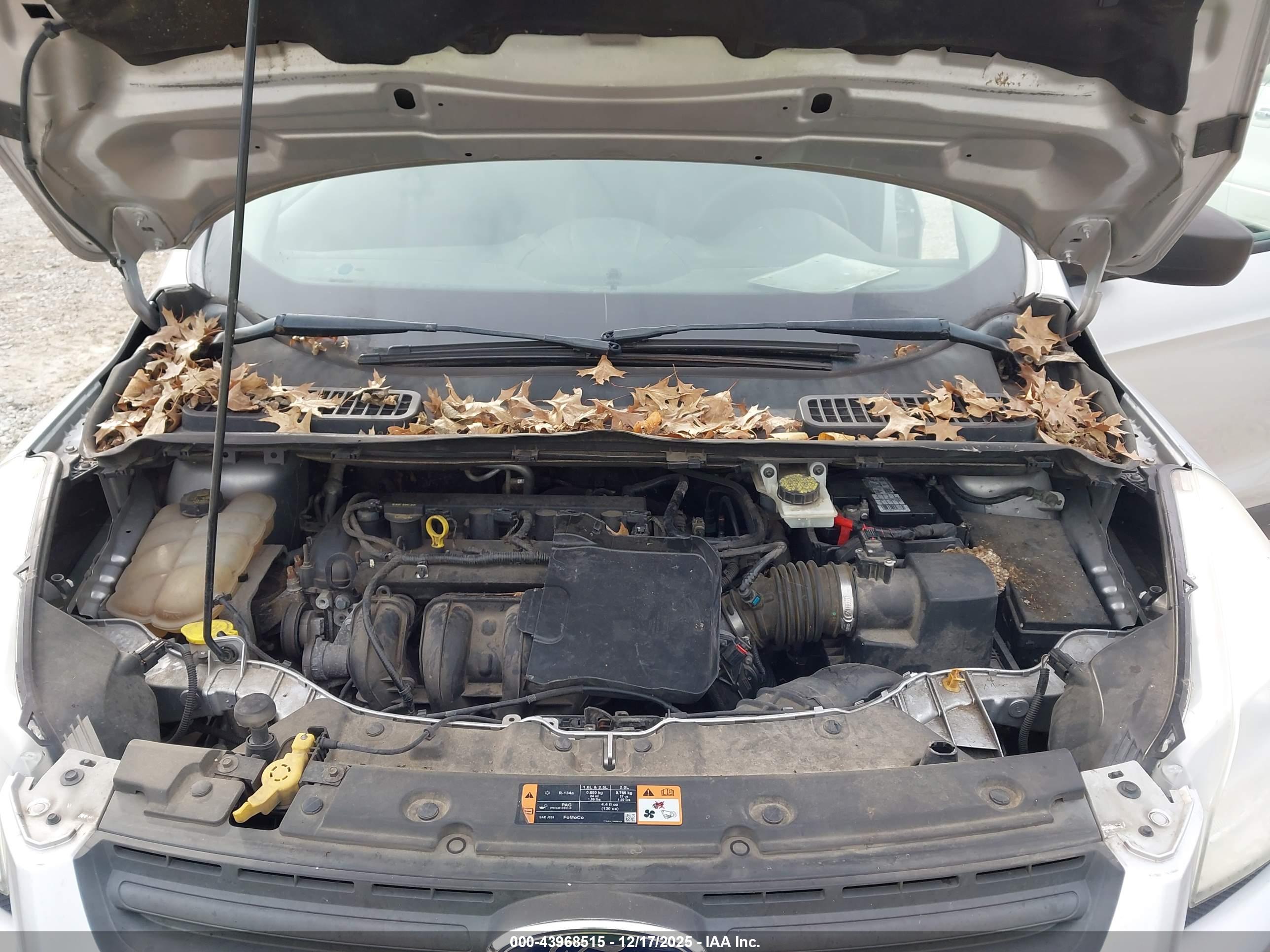FORD ESCAPE image 10