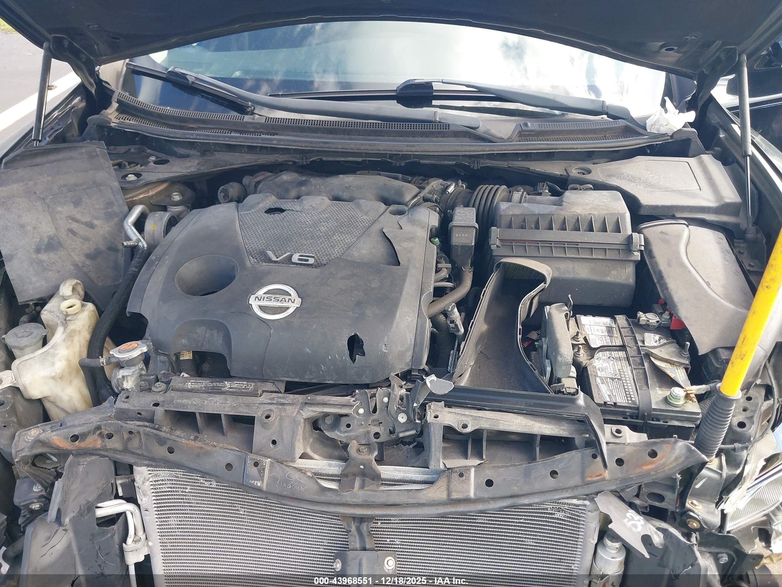 NISSAN MAXIMA image 10