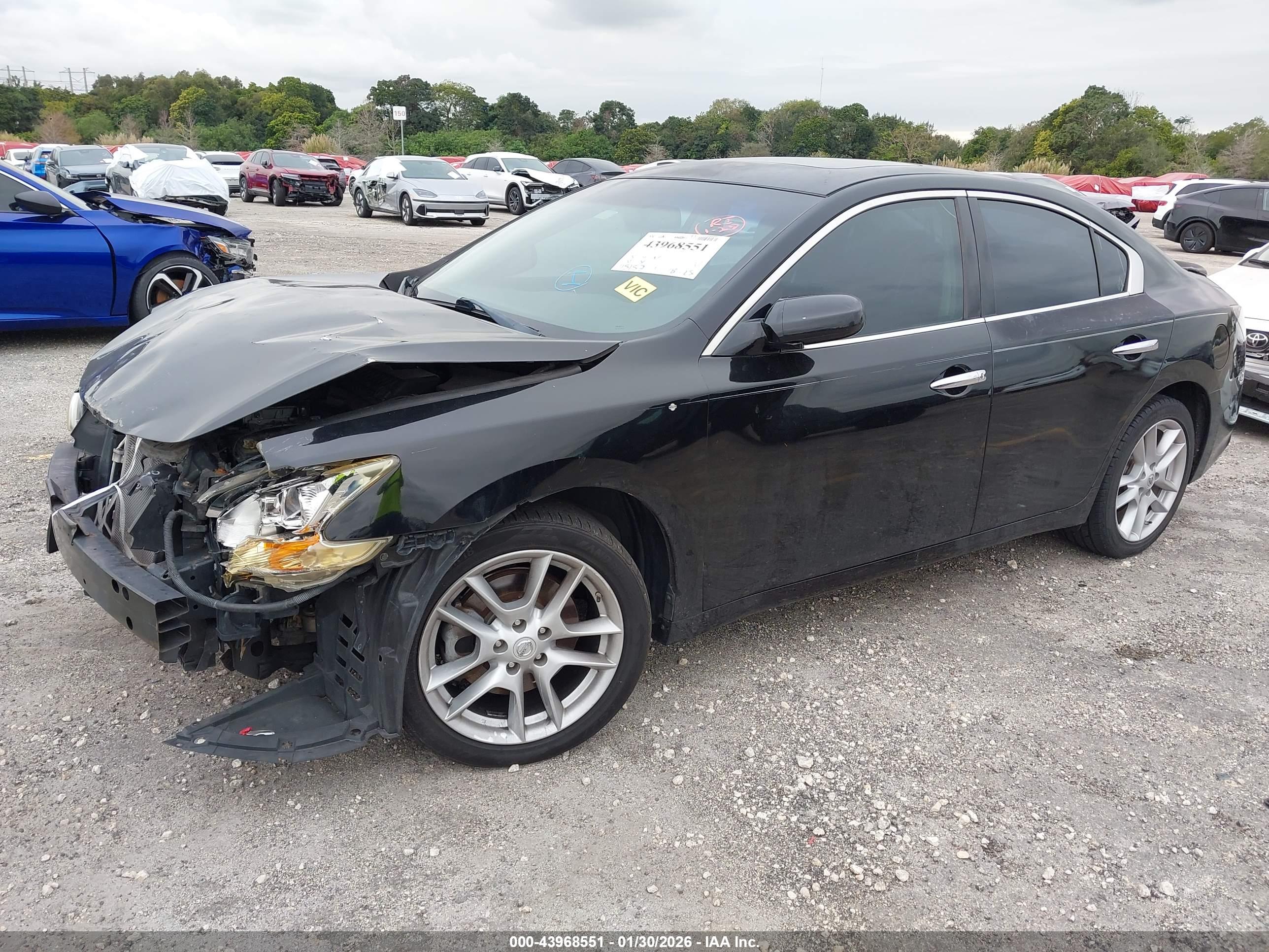 NISSAN MAXIMA image 2