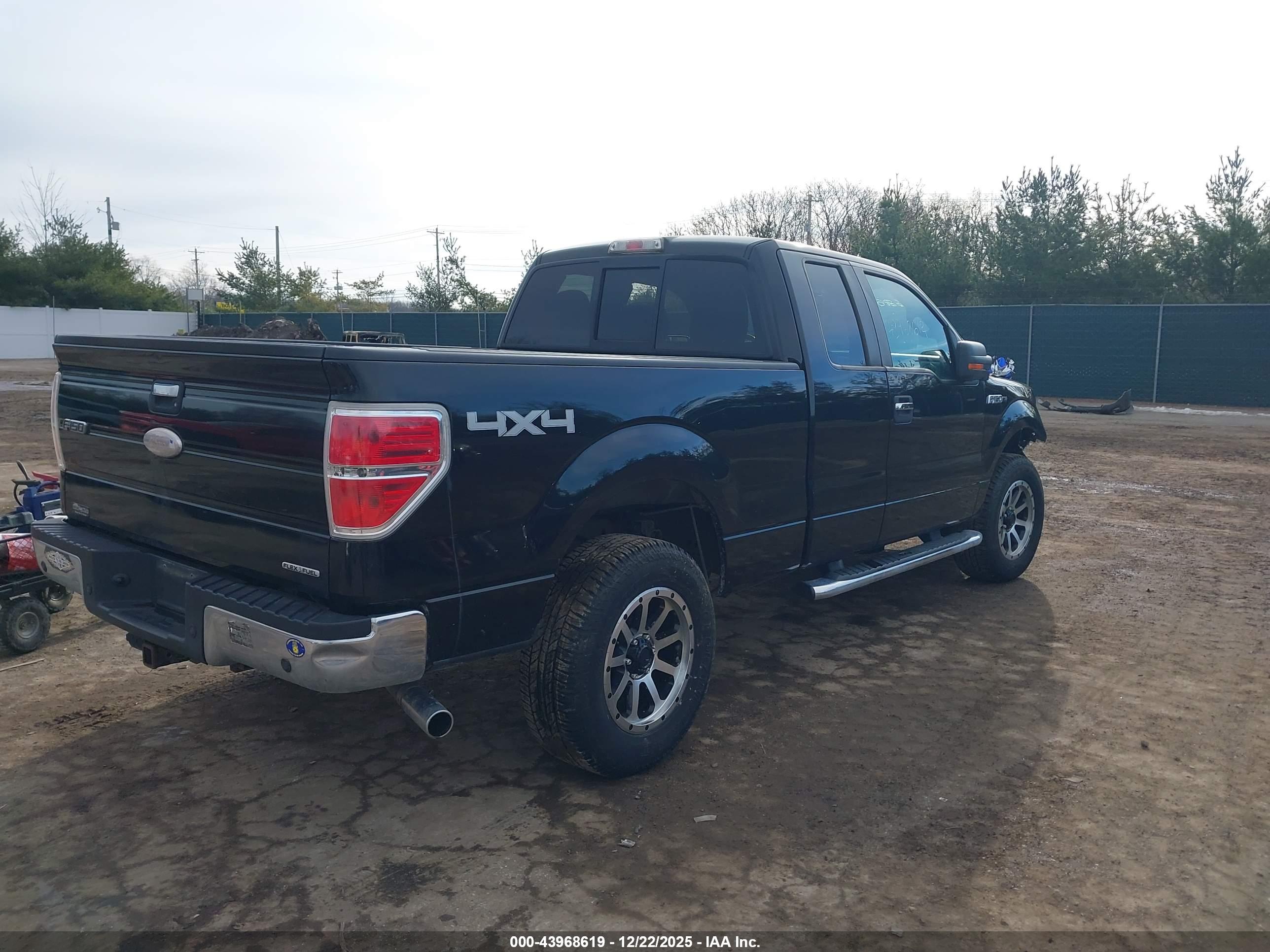 FORD F-150 image 4