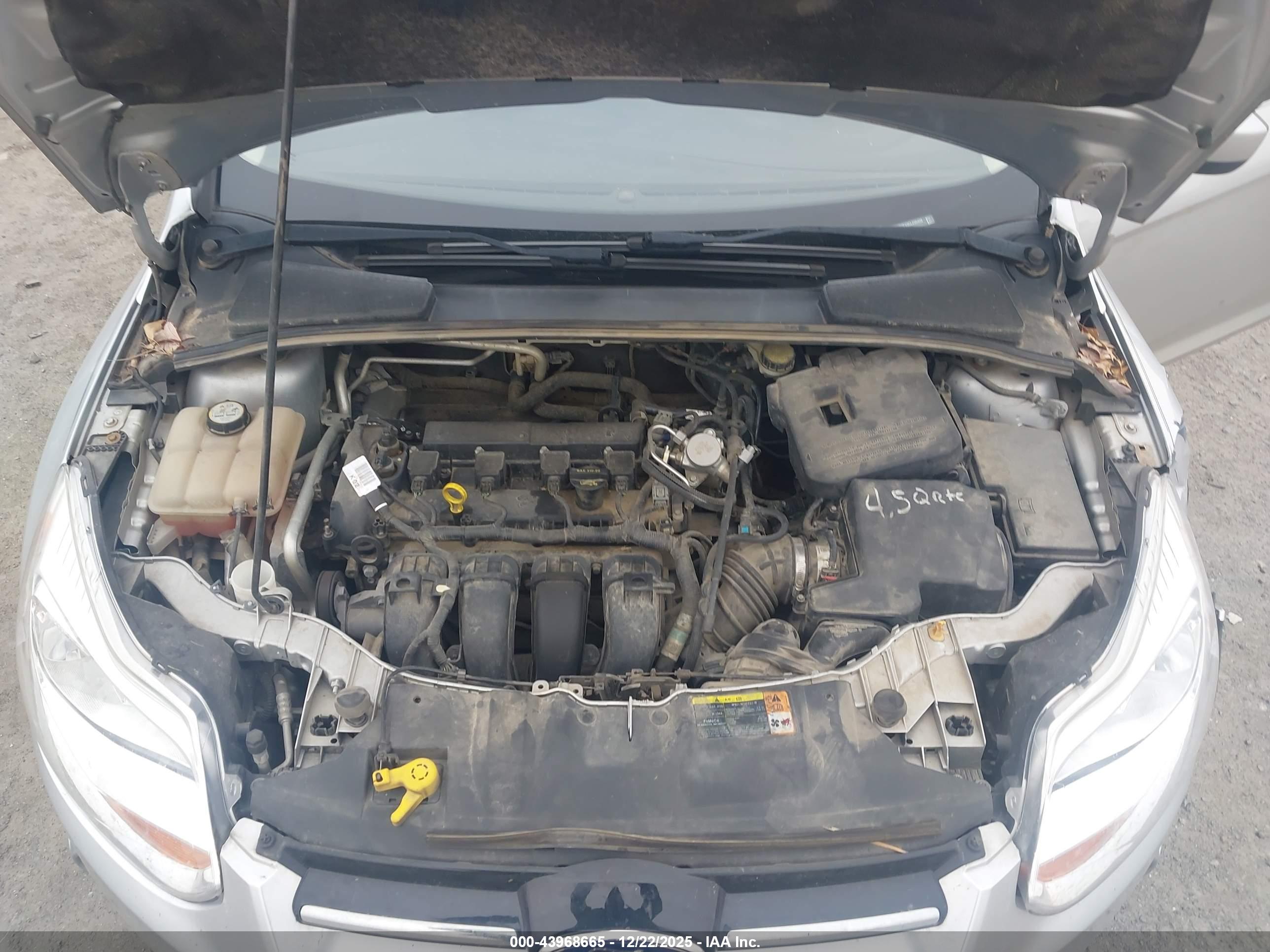 FORD FOCUS image 10