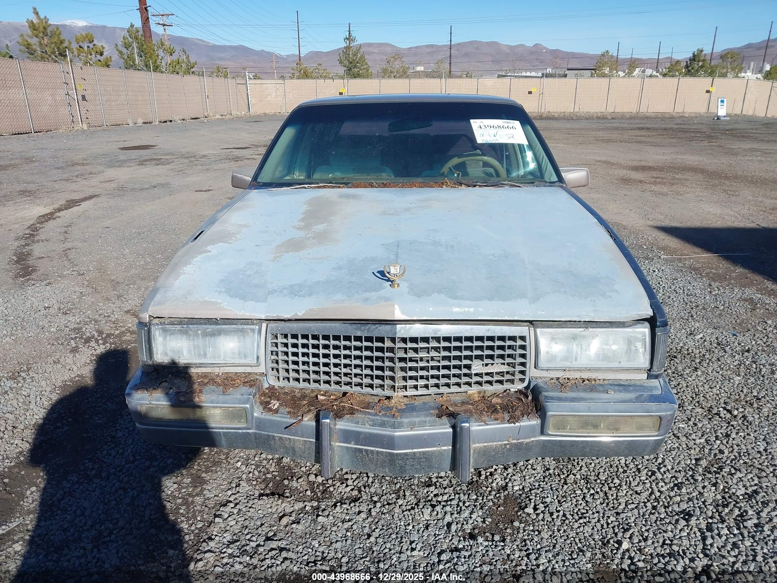 CADILLAC DEVILLE image 6