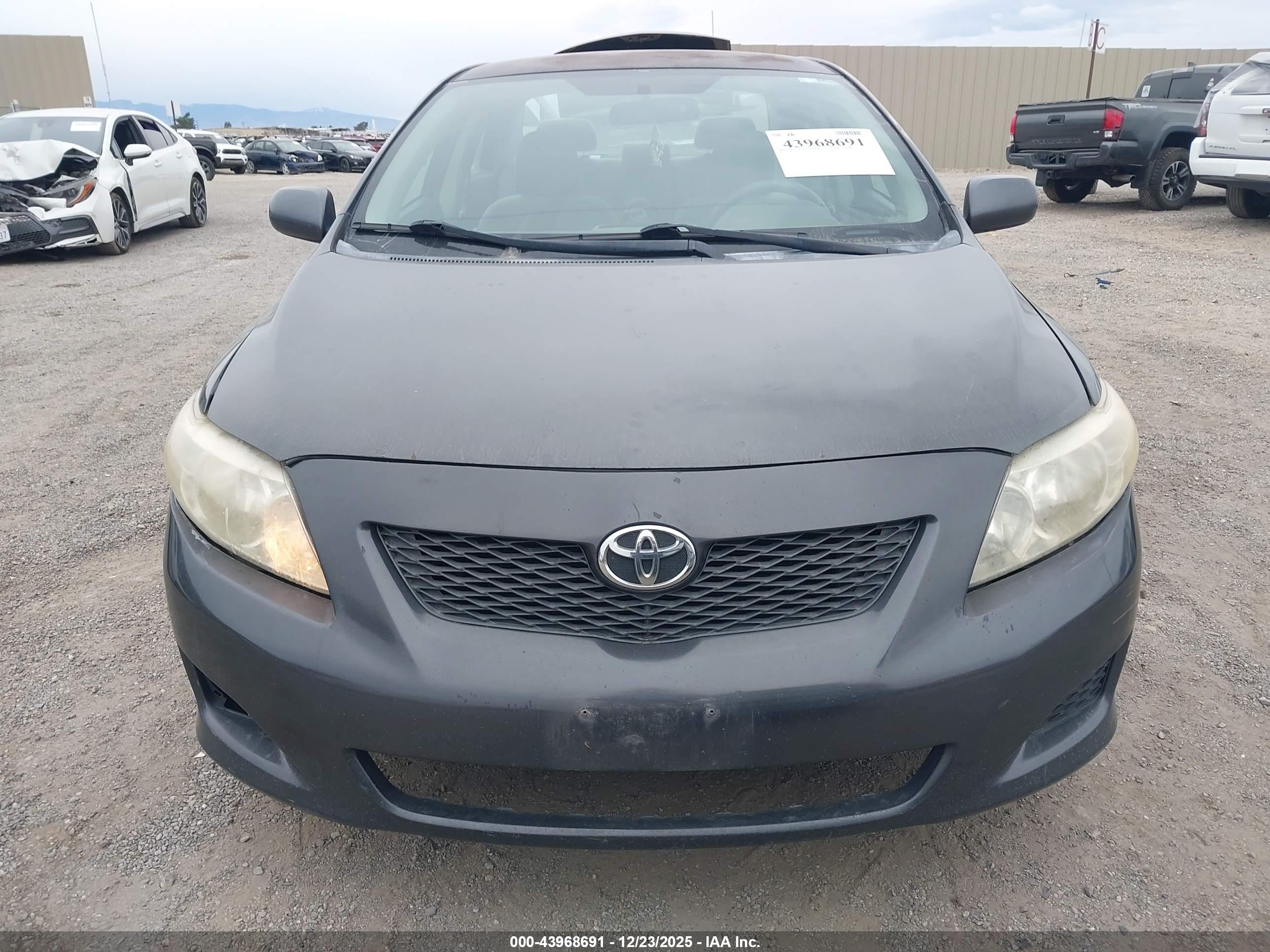TOYOTA COROLLA image 6