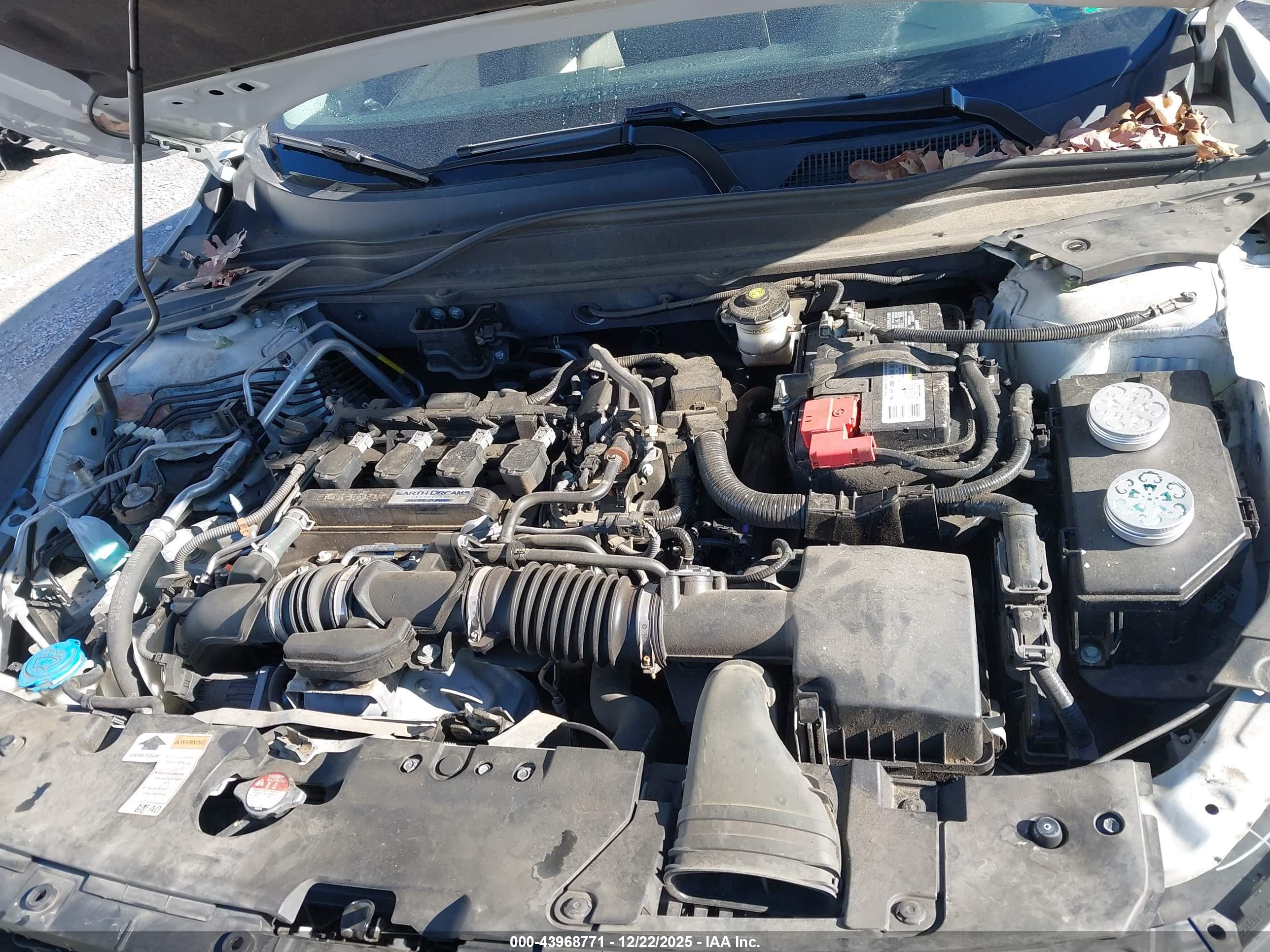 HONDA ACCORD image 10