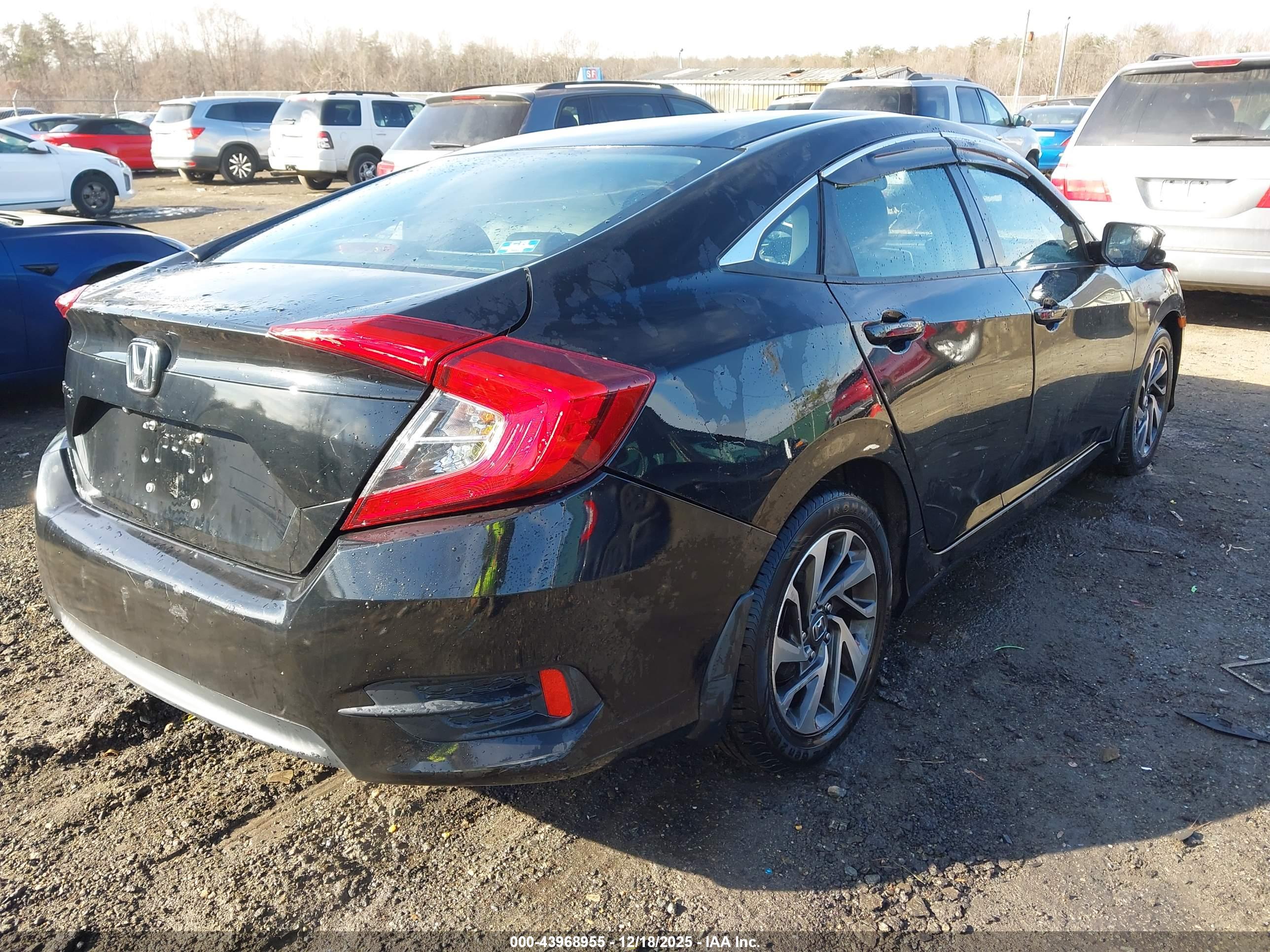 HONDA CIVIC image 4