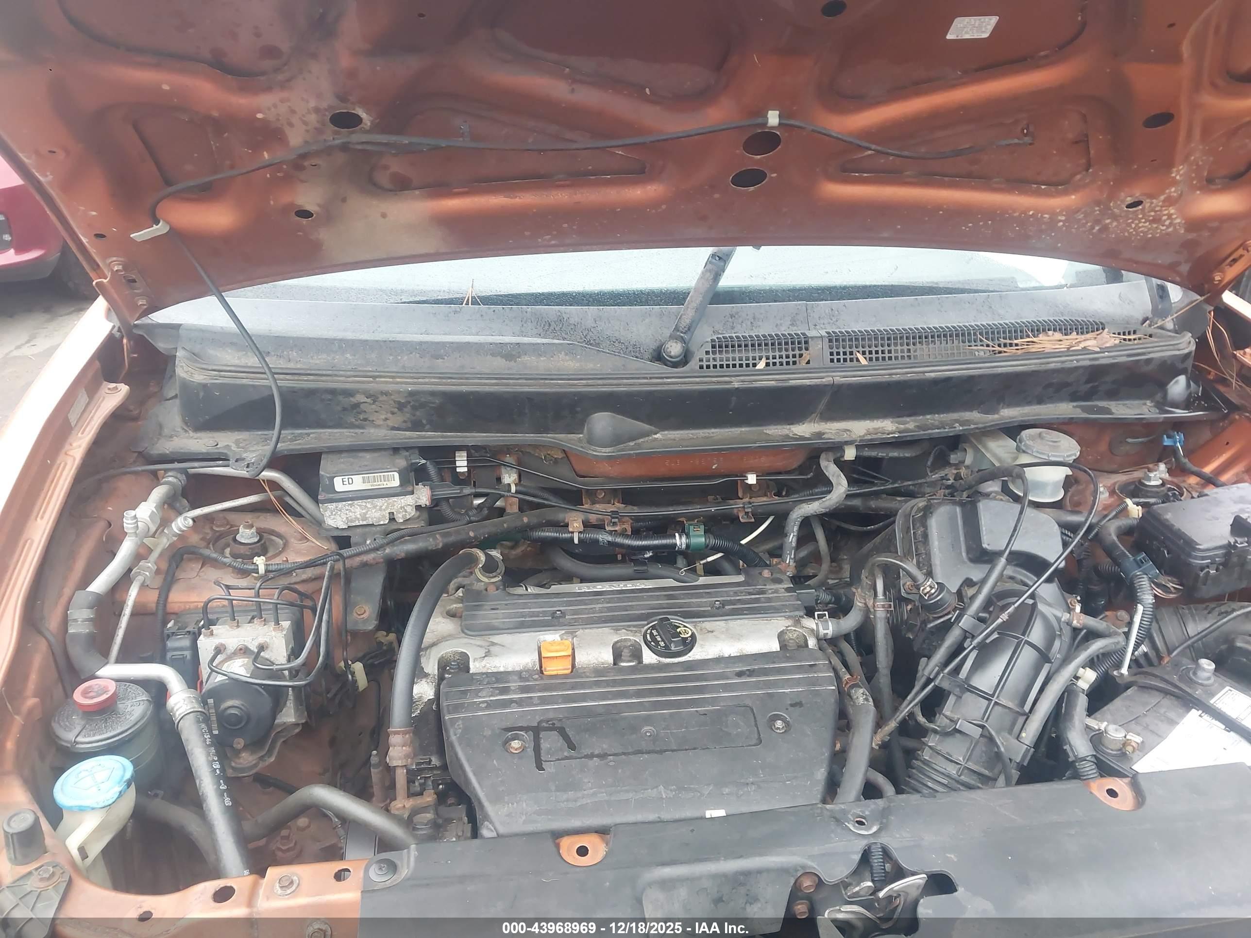 HONDA ELEMENT image 10