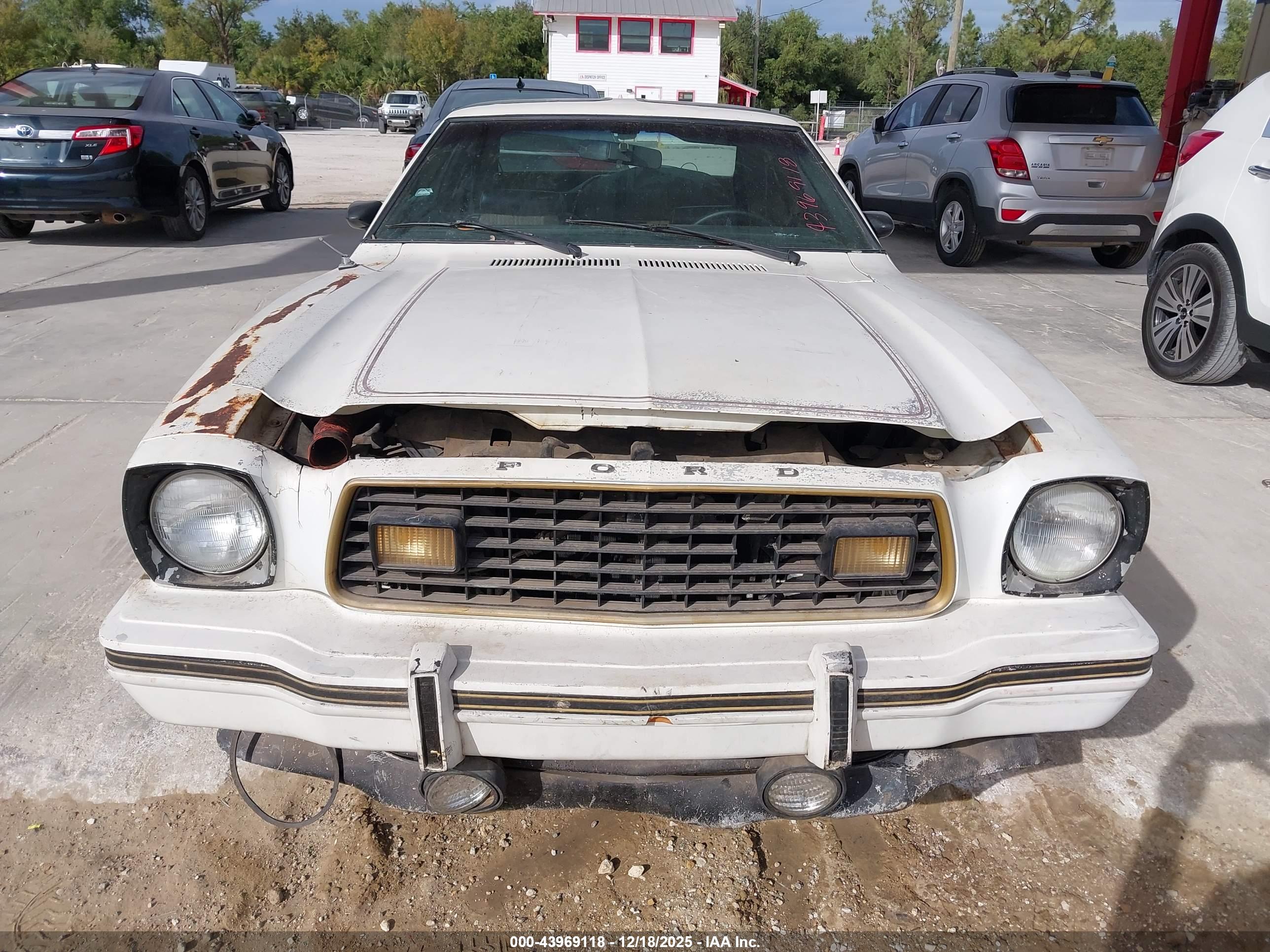 FORD MUSTANG image 6