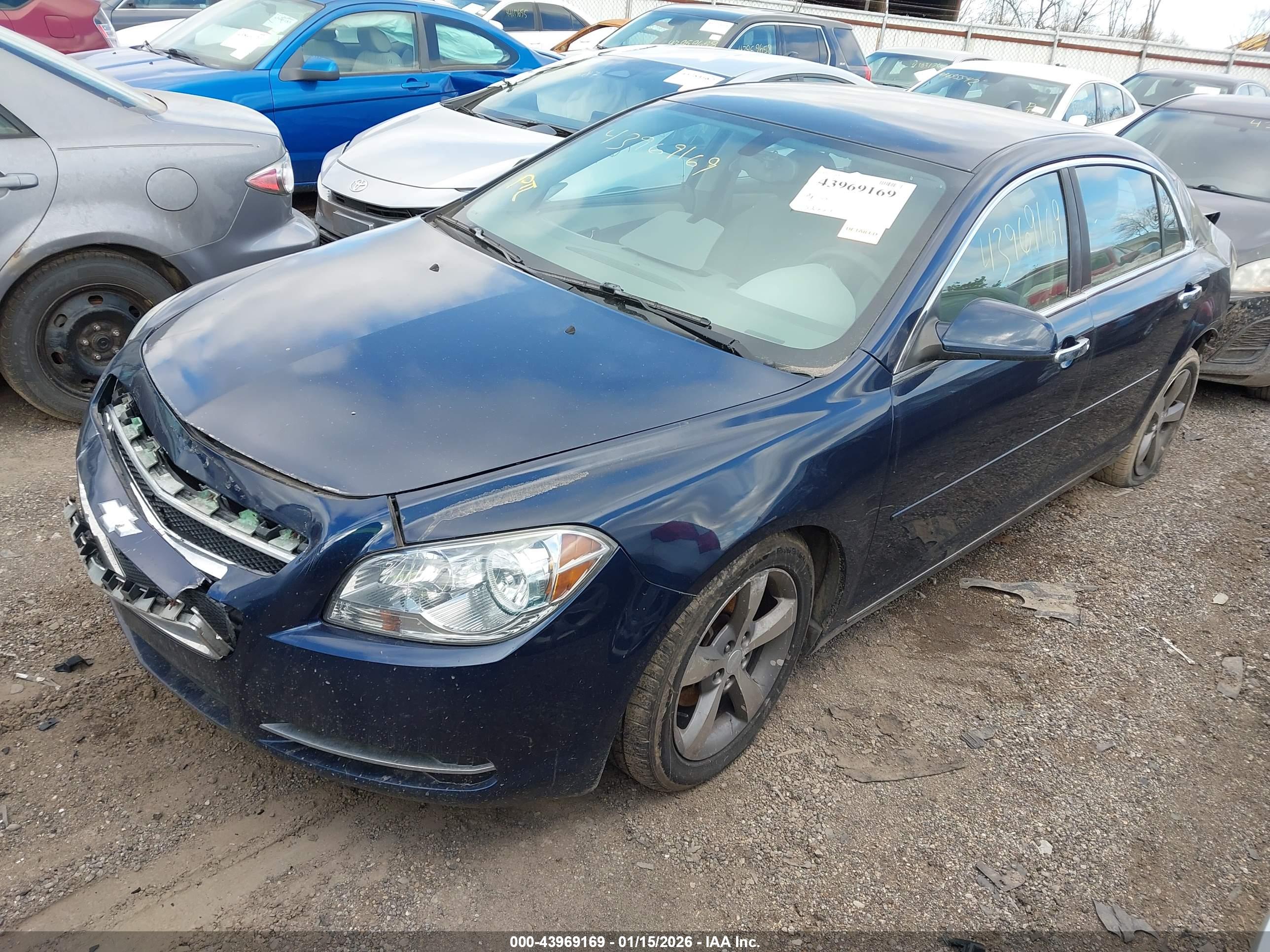 CHEVROLET MALIBU image 2