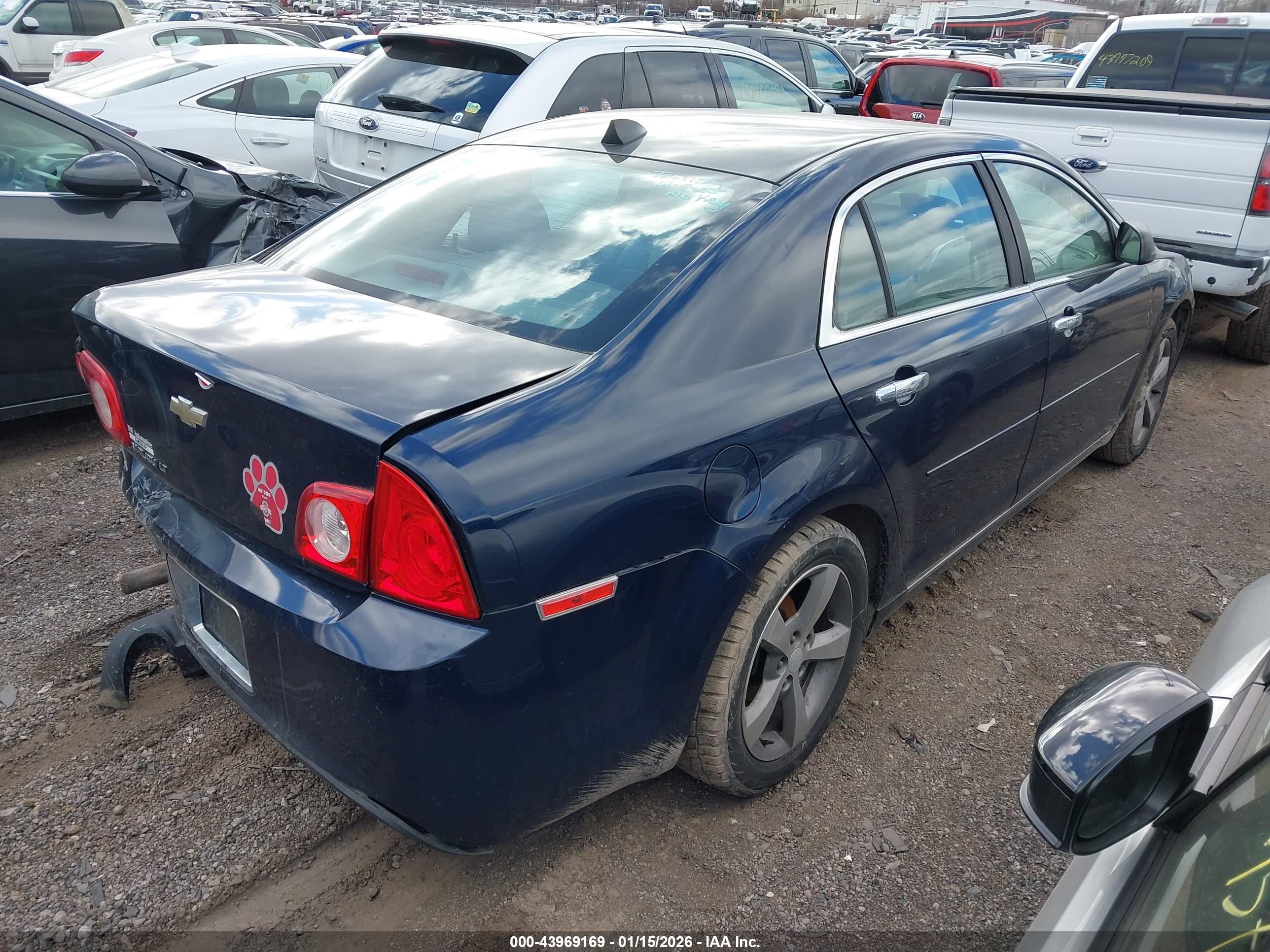 CHEVROLET MALIBU image 4