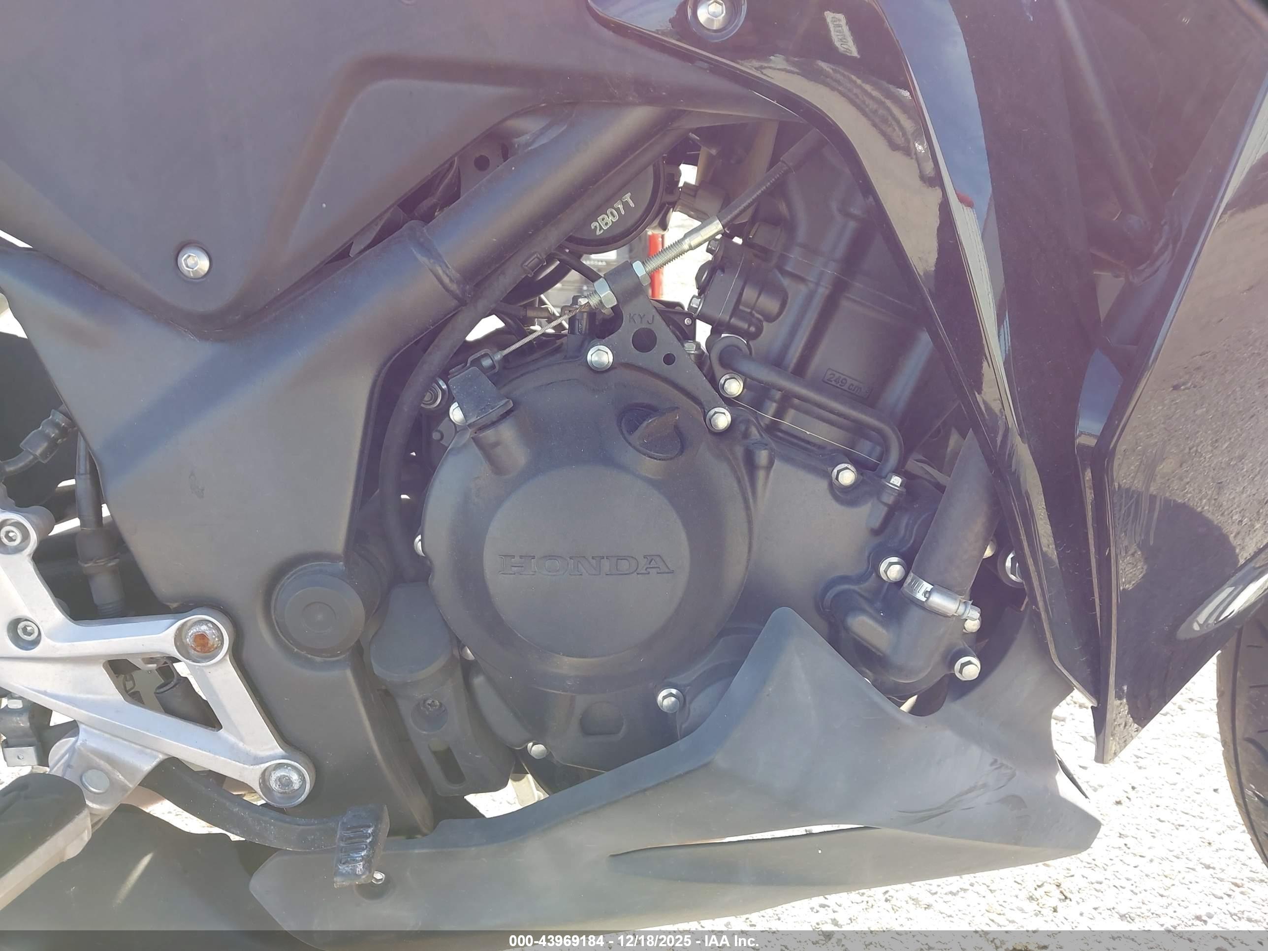 HONDA CBR250 image 8