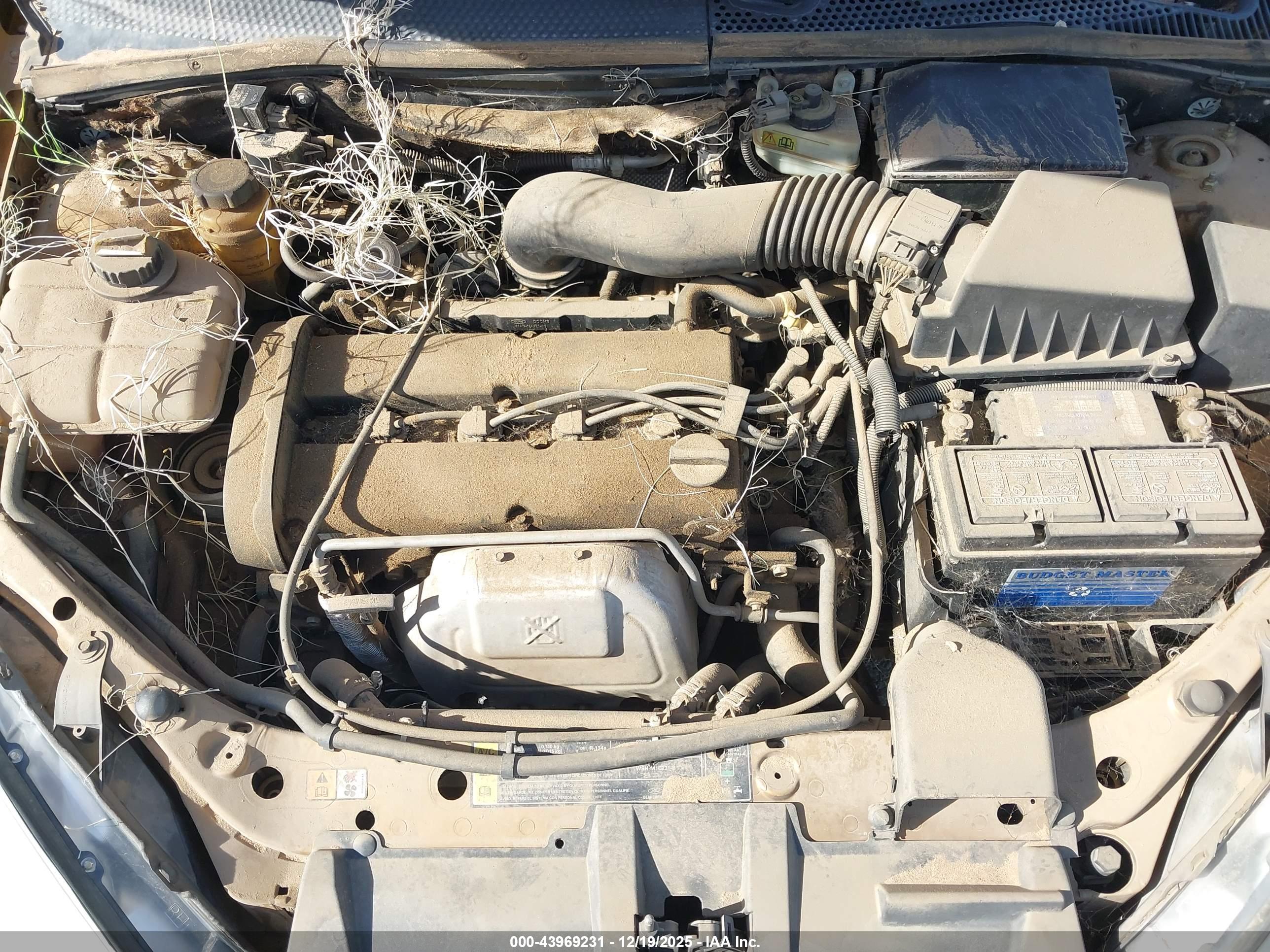 FORD FOCUS image 10