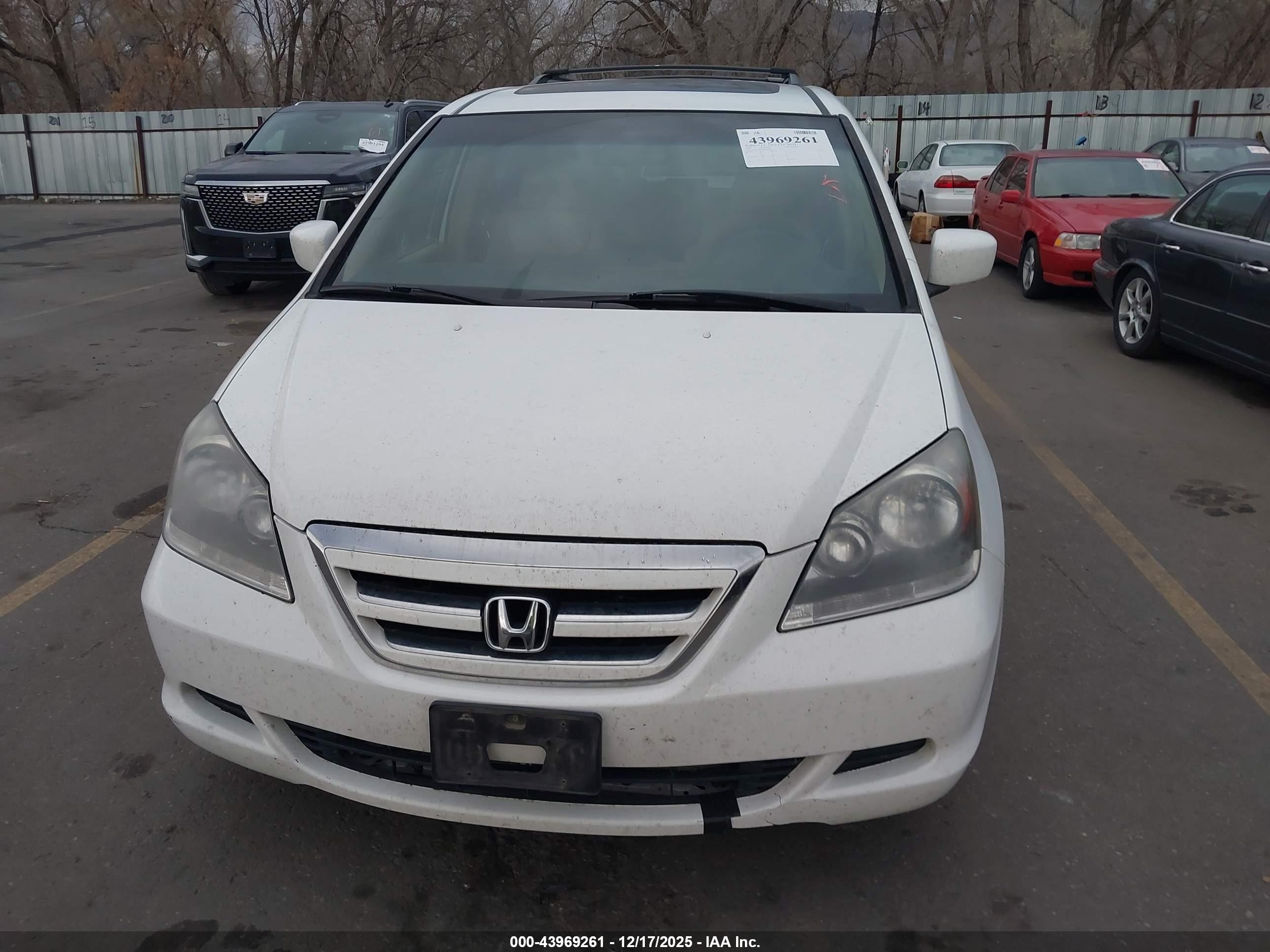 HONDA ODYSSEY image 6