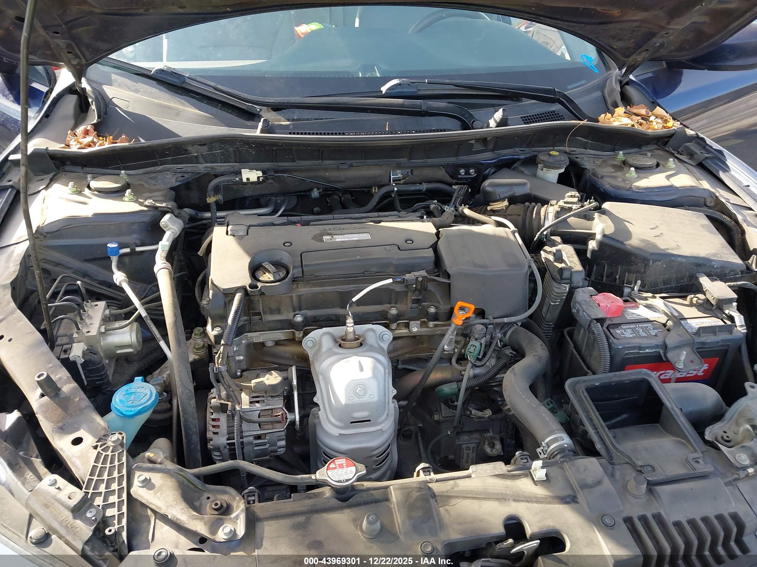 HONDA ACCORD image 10