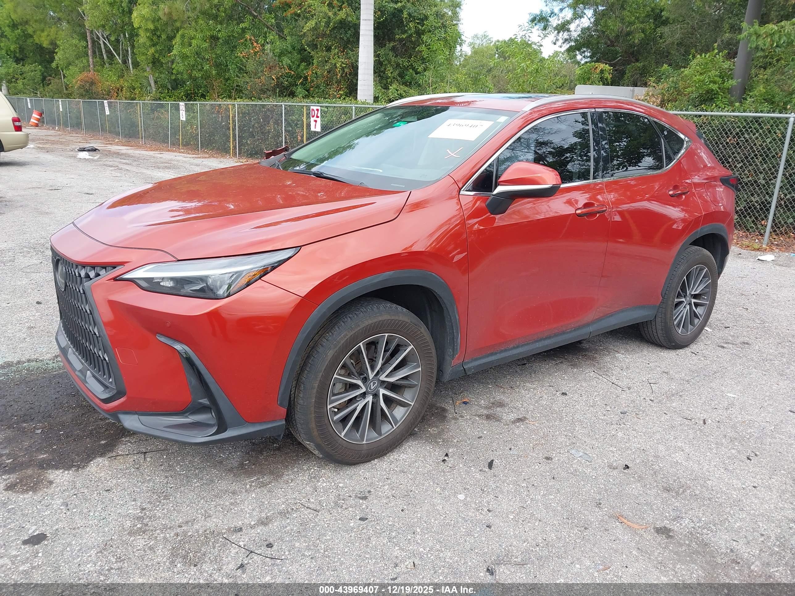 LEXUS NX image 2