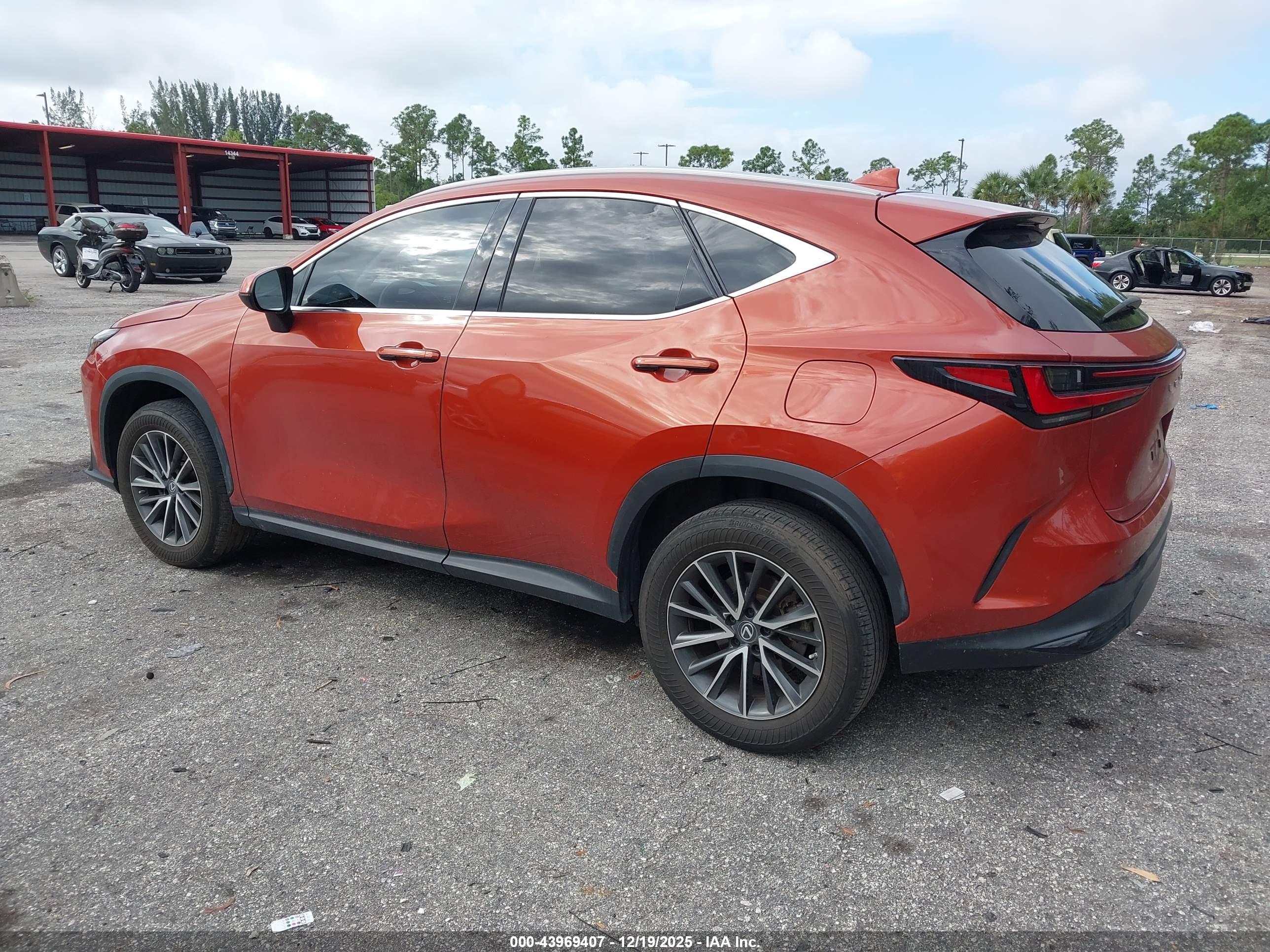 LEXUS NX image 3