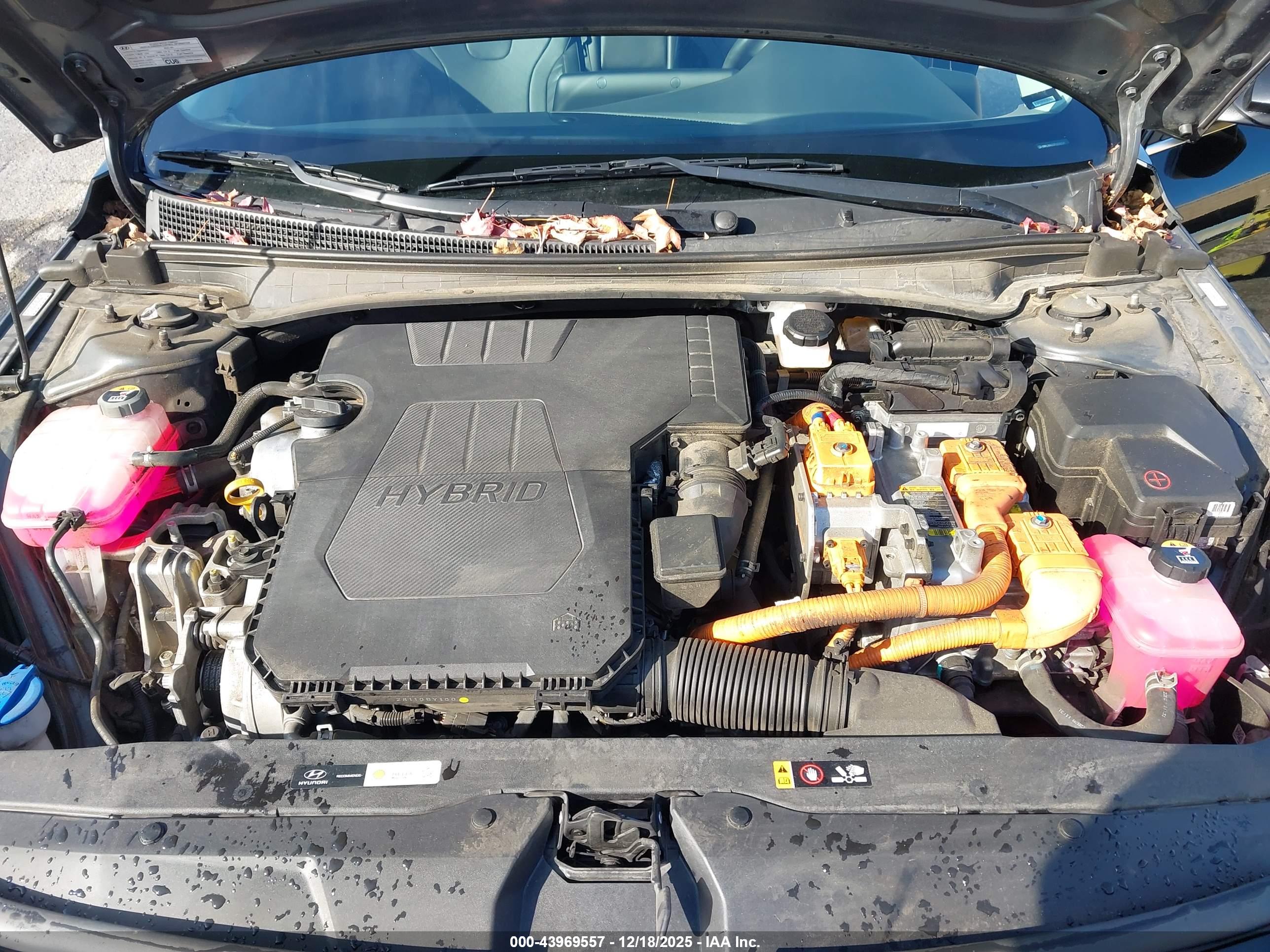 HYUNDAI ELANTRA image 10