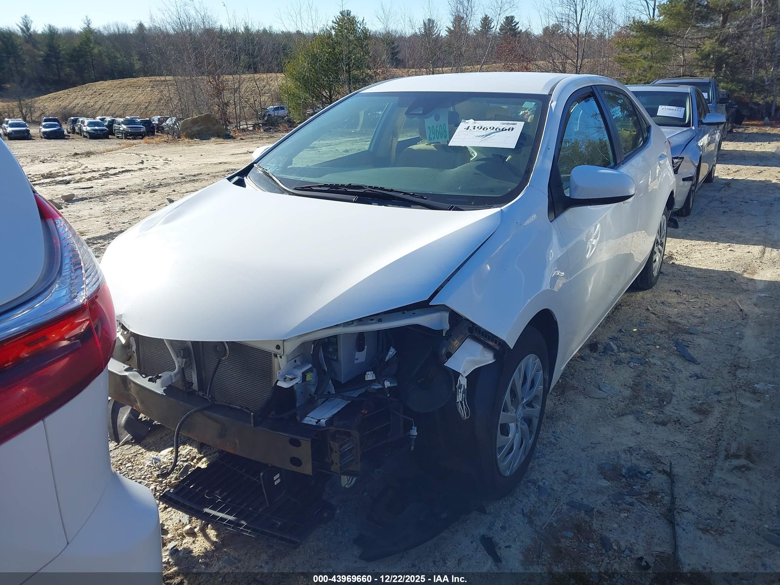 TOYOTA COROLLA image 2
