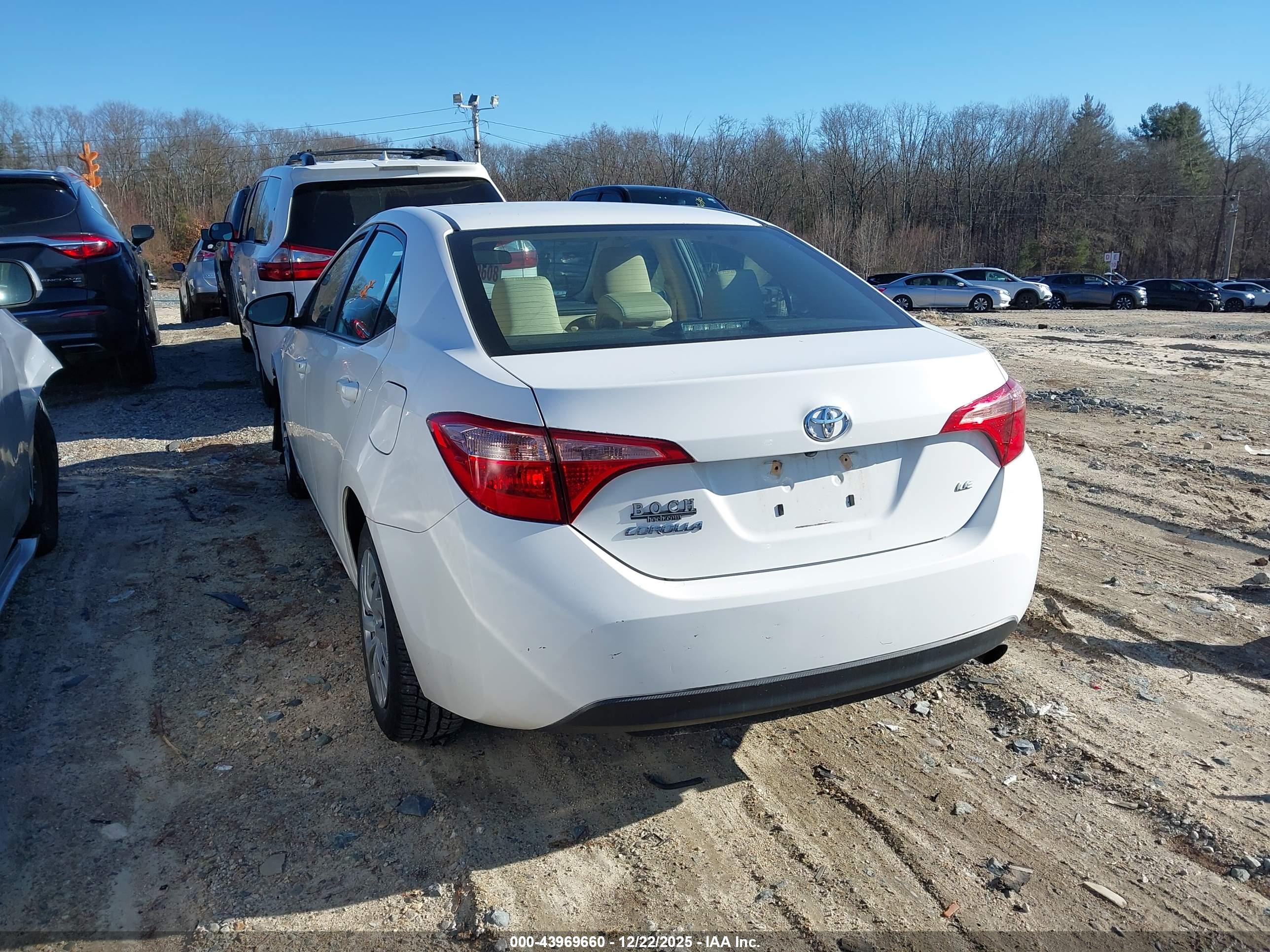 TOYOTA COROLLA image 3