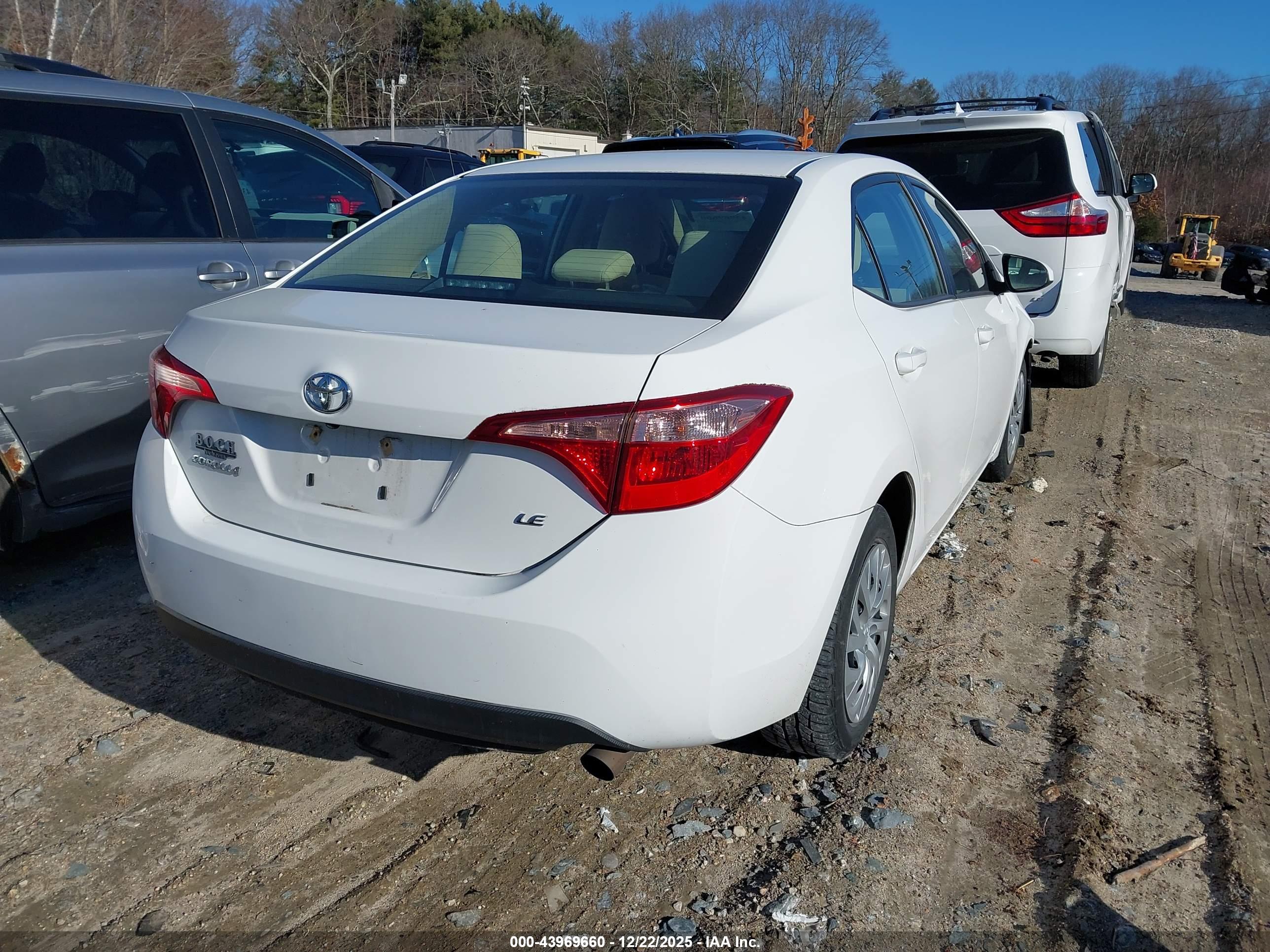 TOYOTA COROLLA image 4