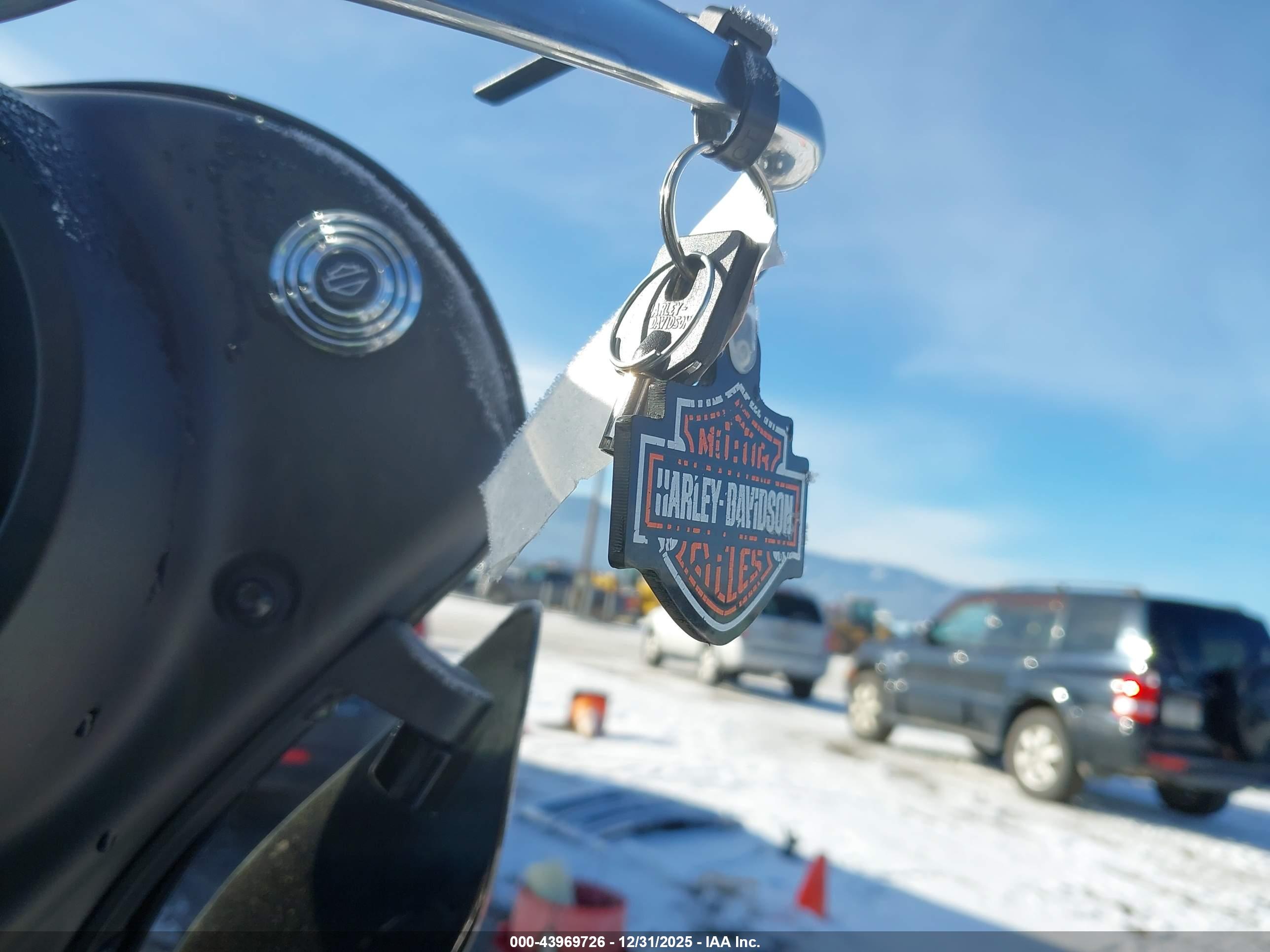 HARLEY-DAVIDSON FLHX image 11
