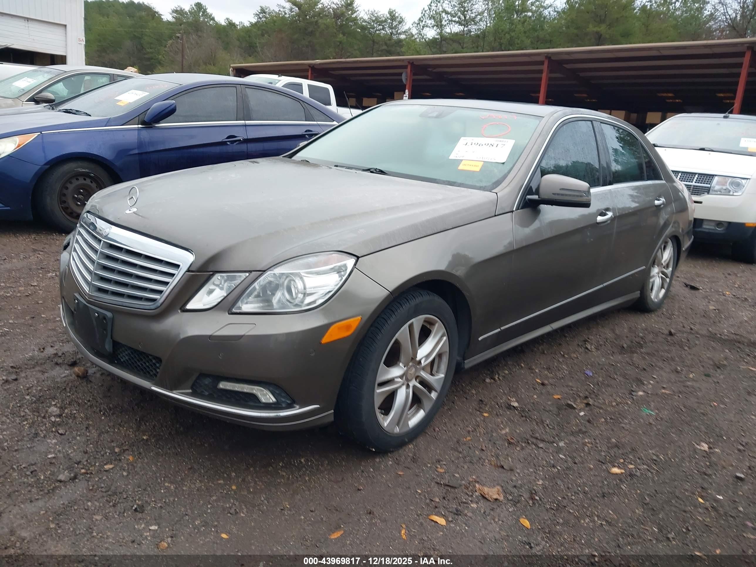 MERCEDES-BENZ E image 2