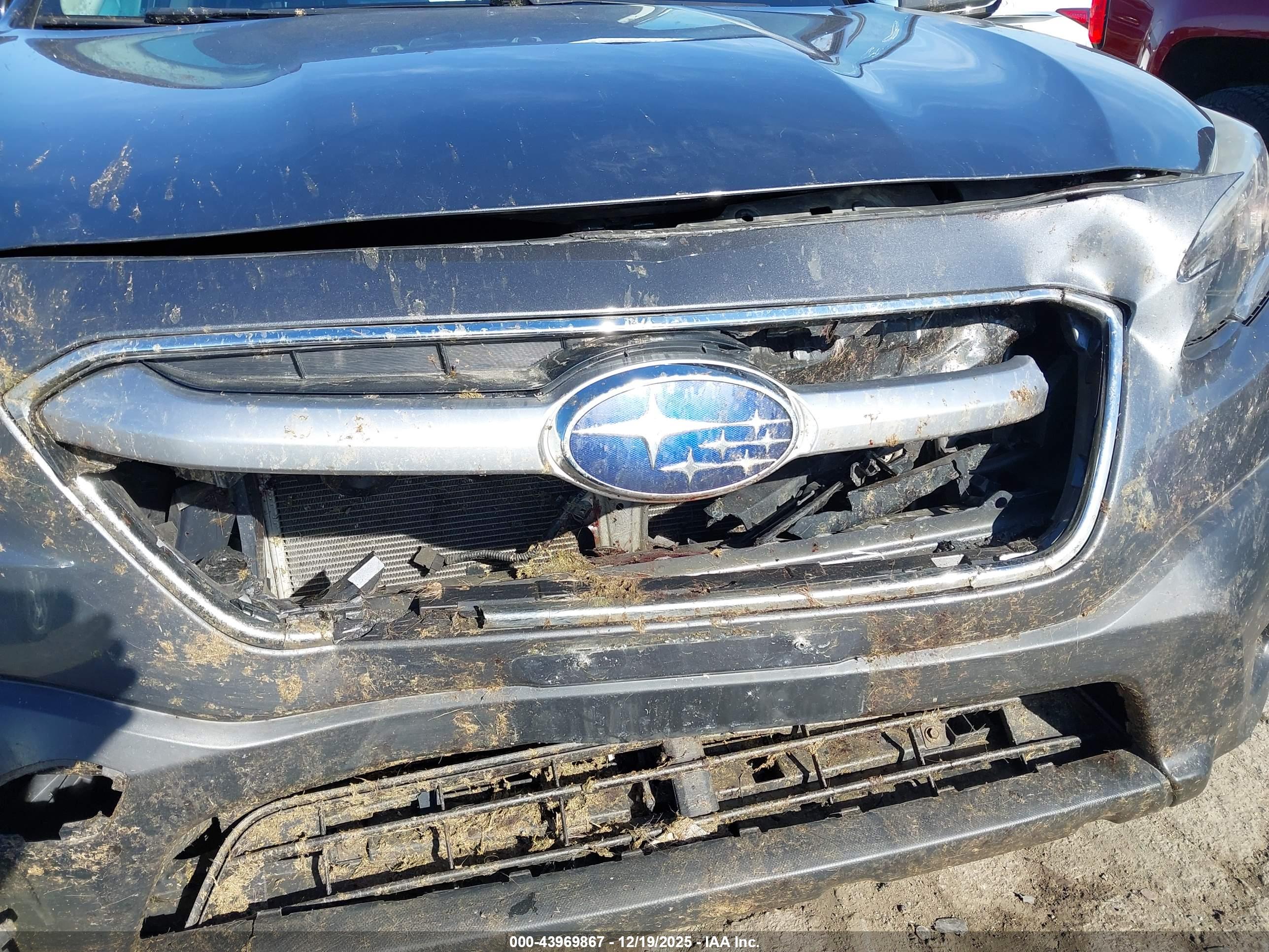 SUBARU OUTBACK image 6