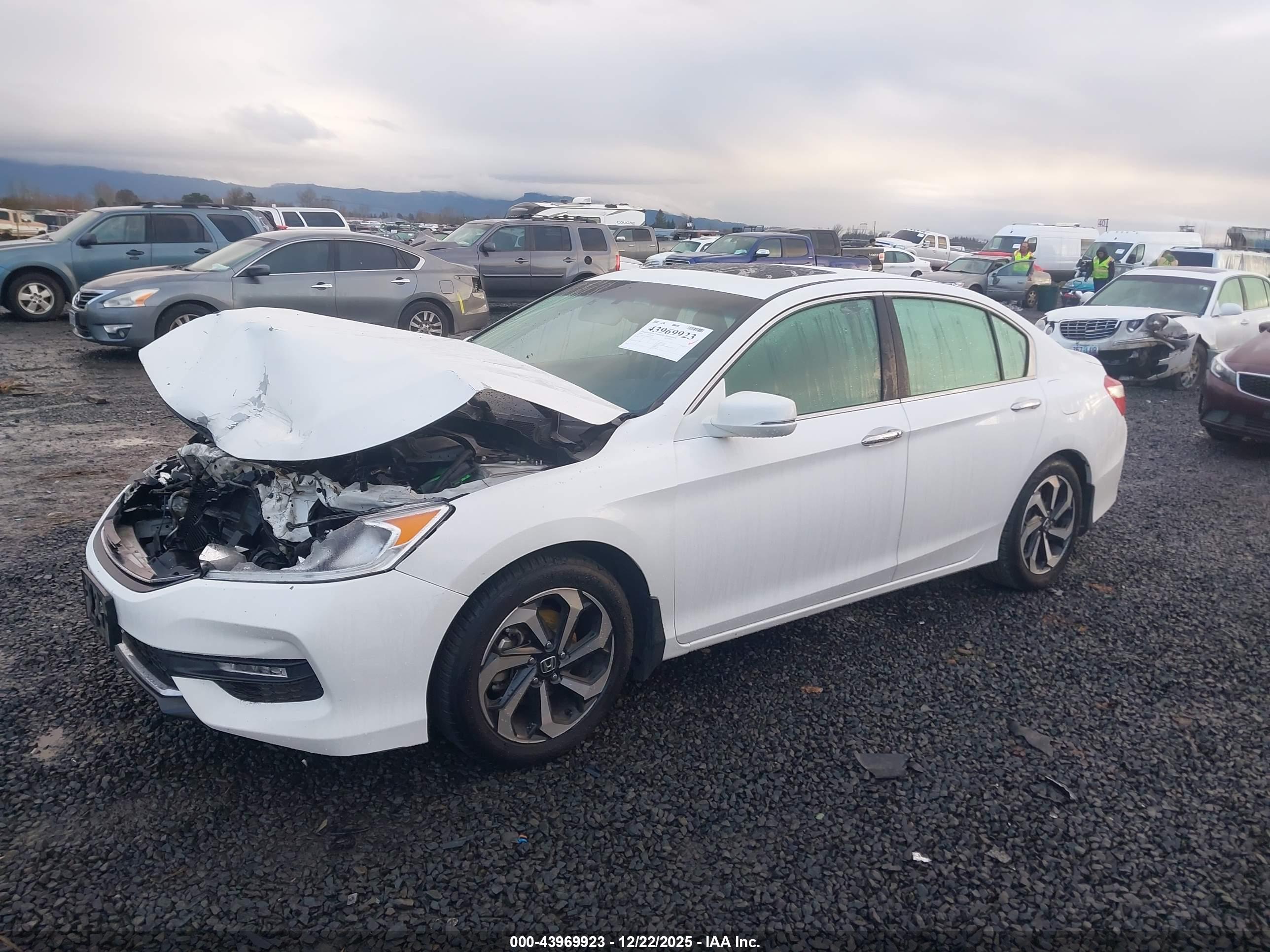 HONDA ACCORD image 2