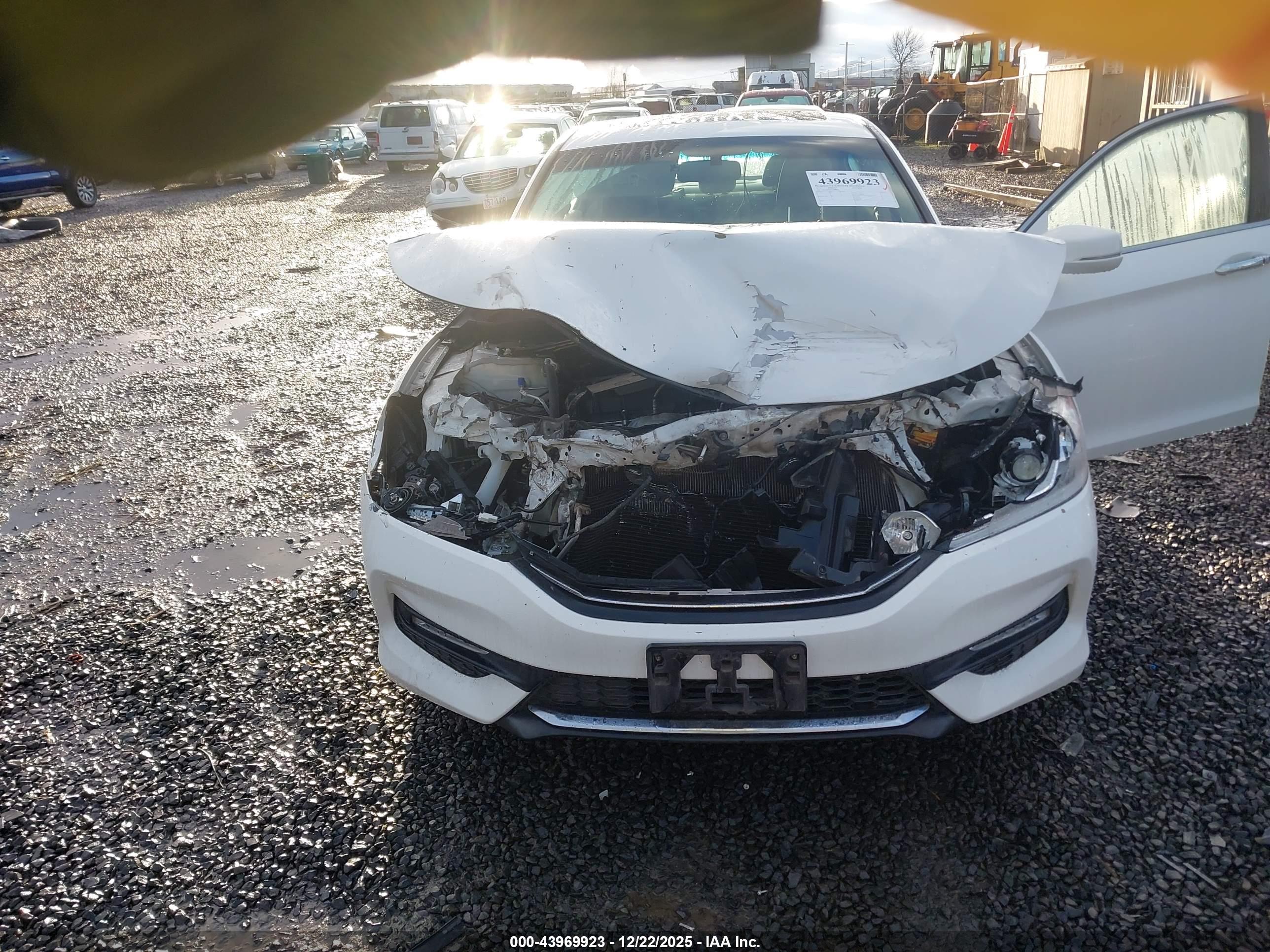 HONDA ACCORD image 6