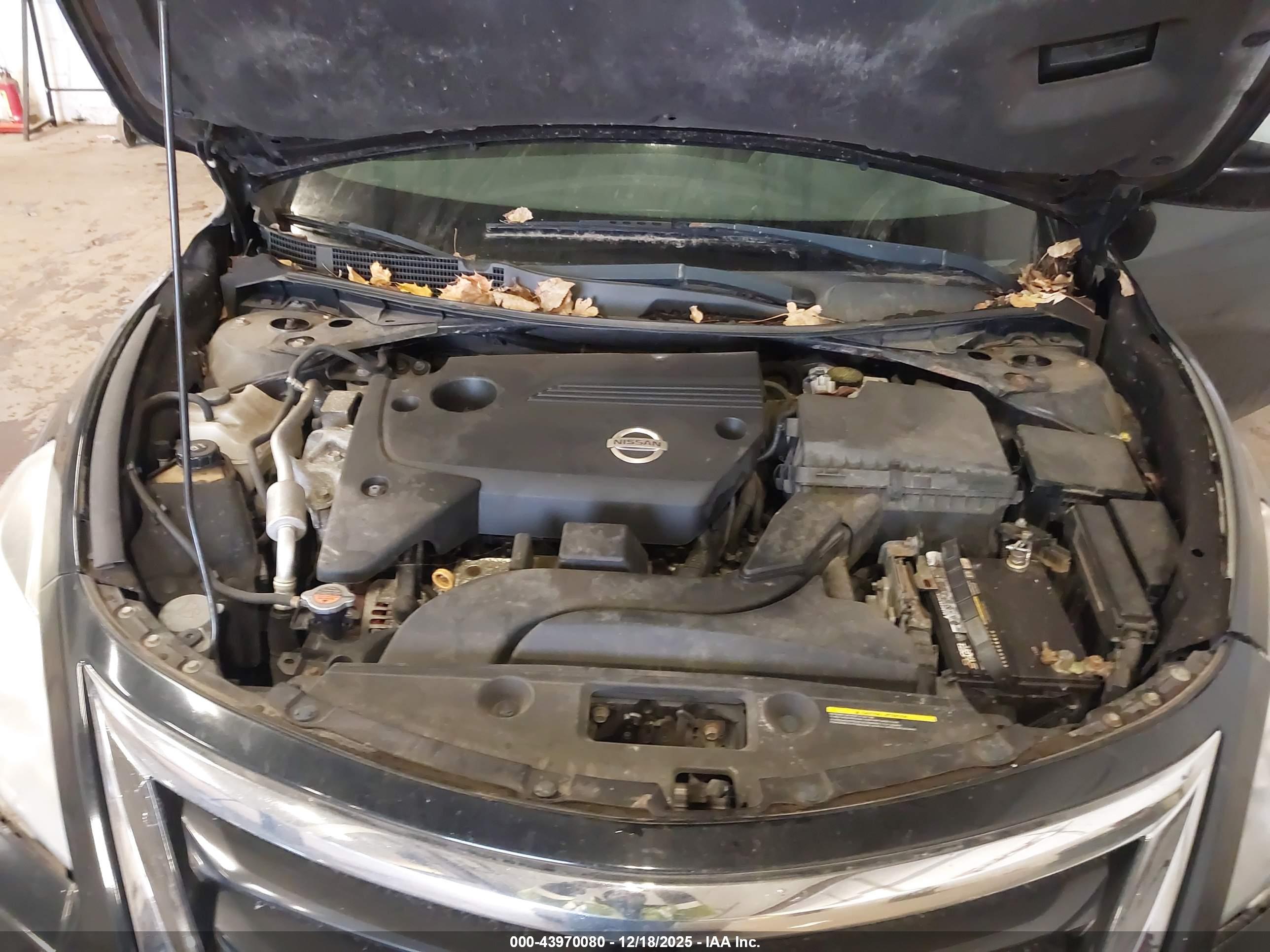NISSAN ALTIMA image 10