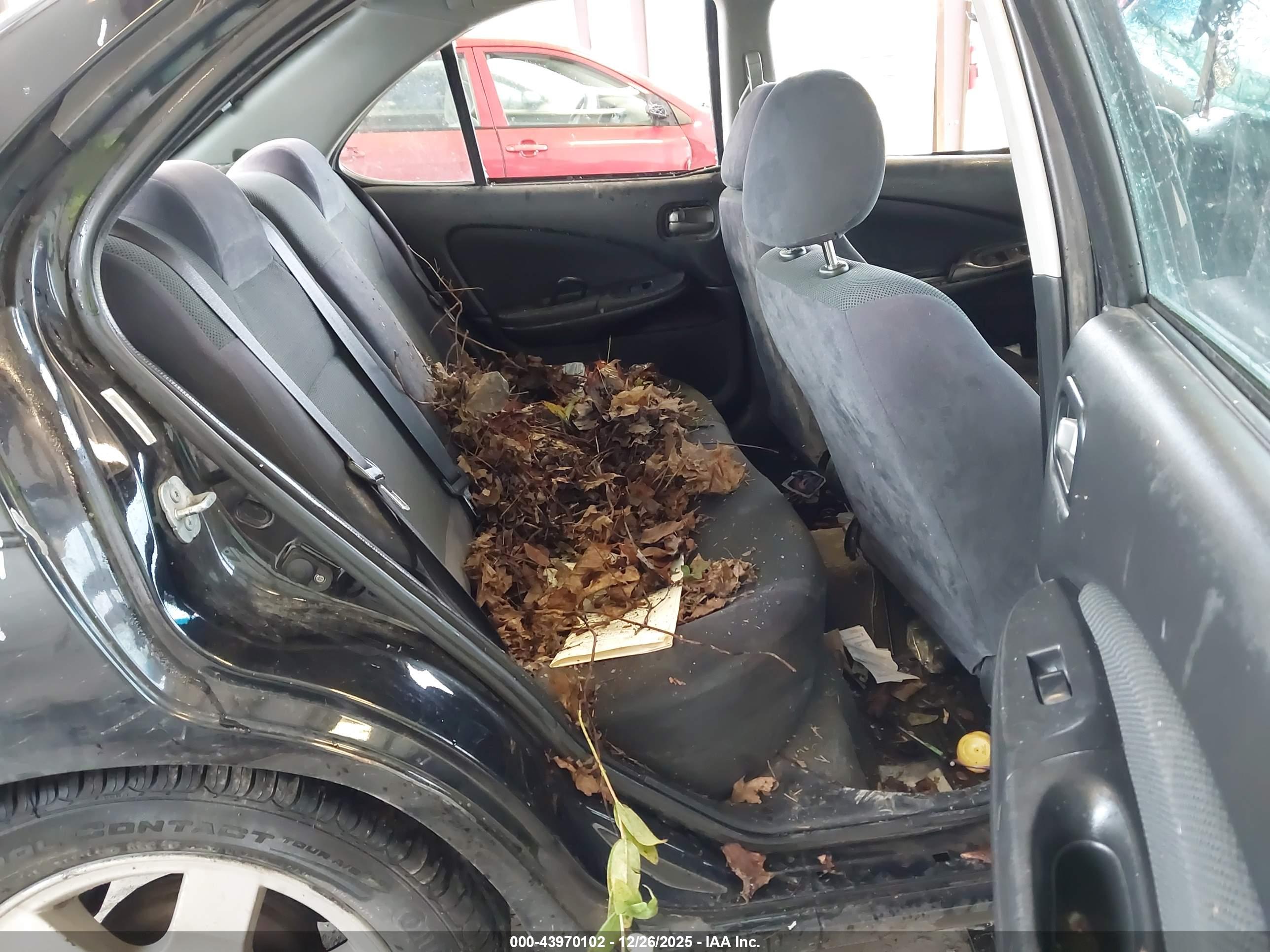 NISSAN SENTRA image 8