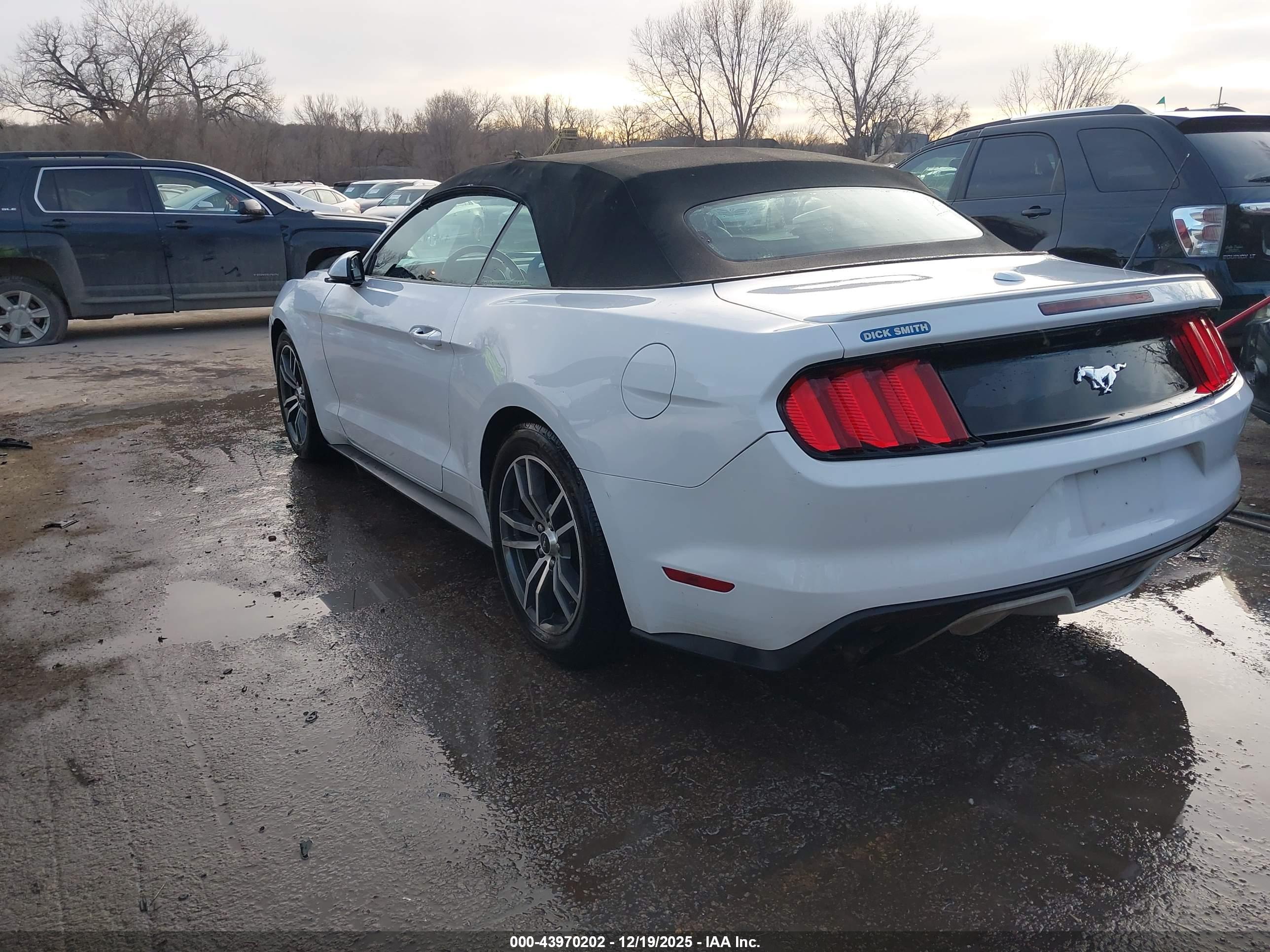 FORD MUSTANG image 3