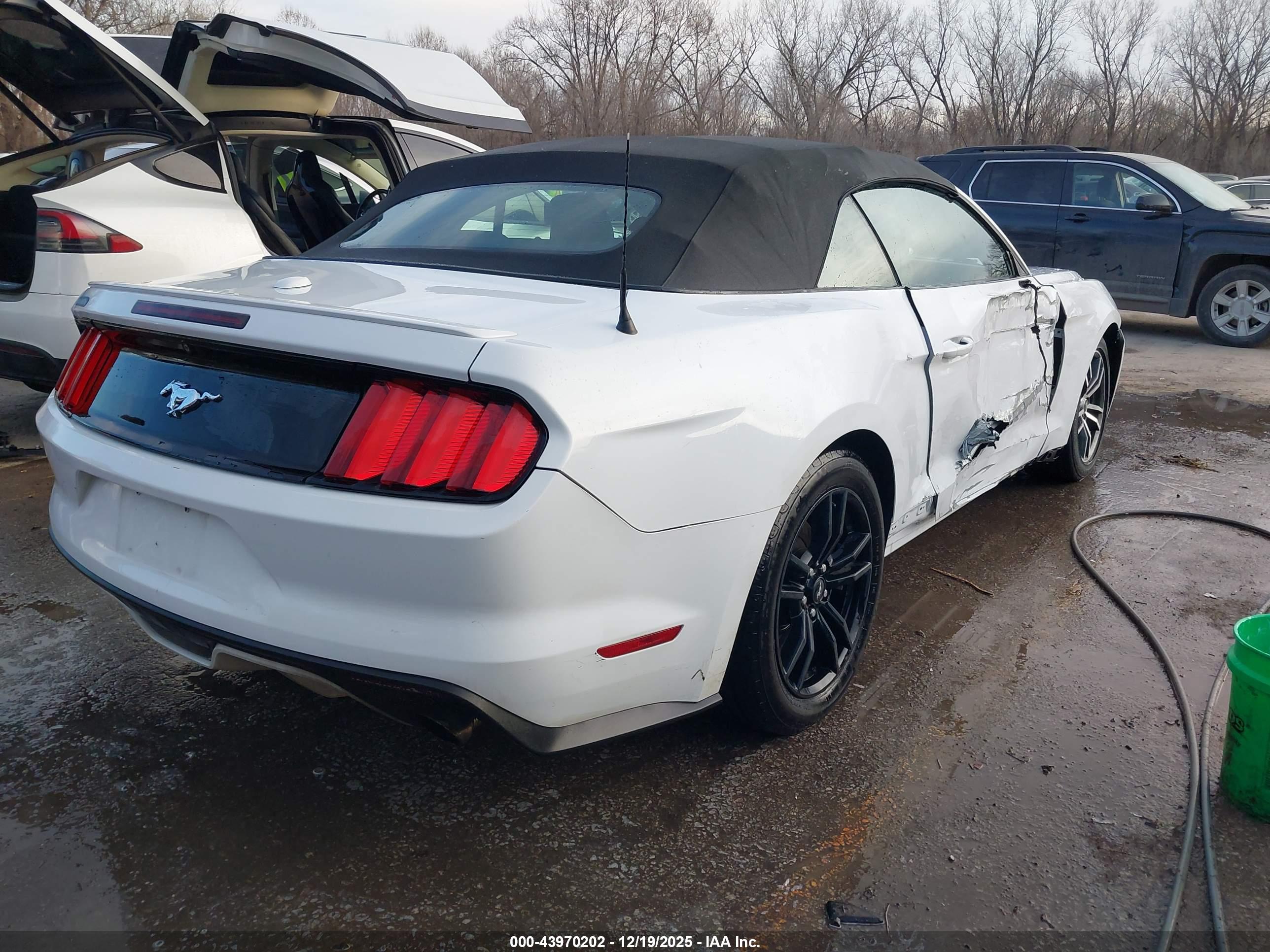 FORD MUSTANG image 4
