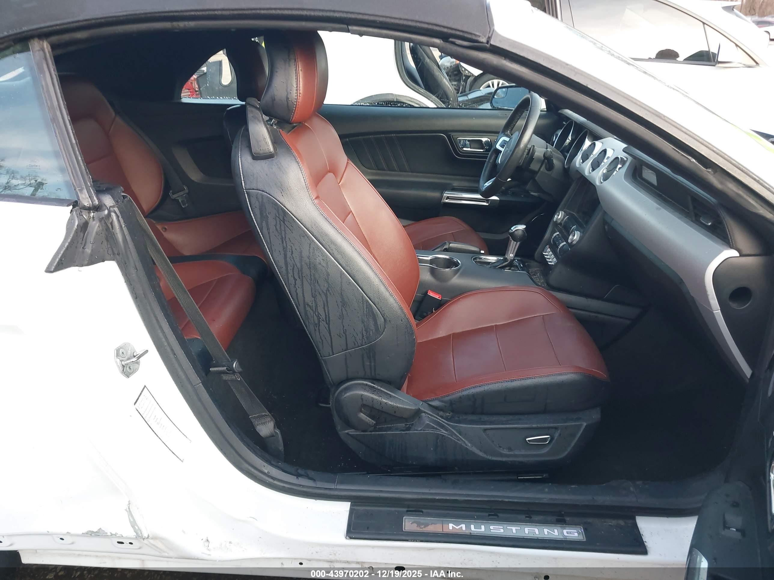 FORD MUSTANG image 5