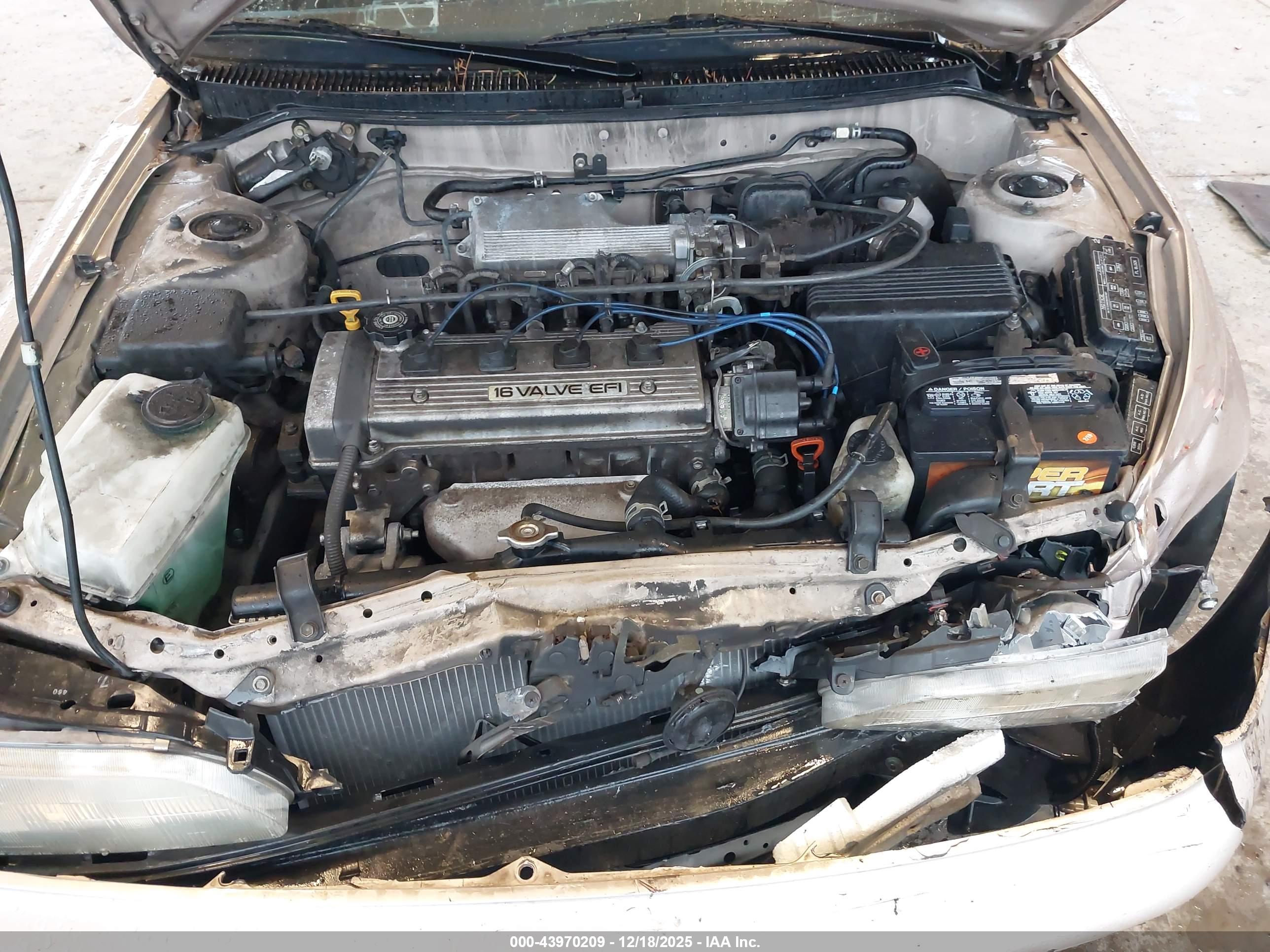 TOYOTA COROLLA image 10