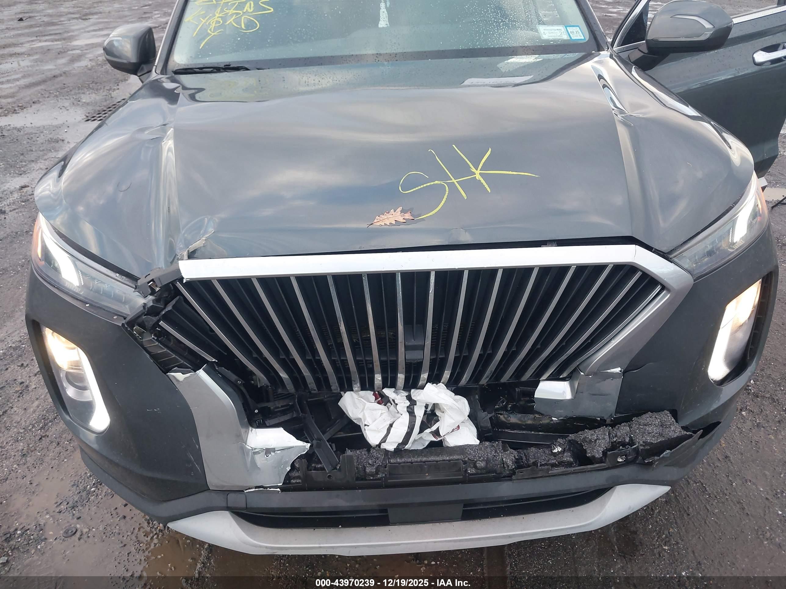 HYUNDAI PALISADE image 10