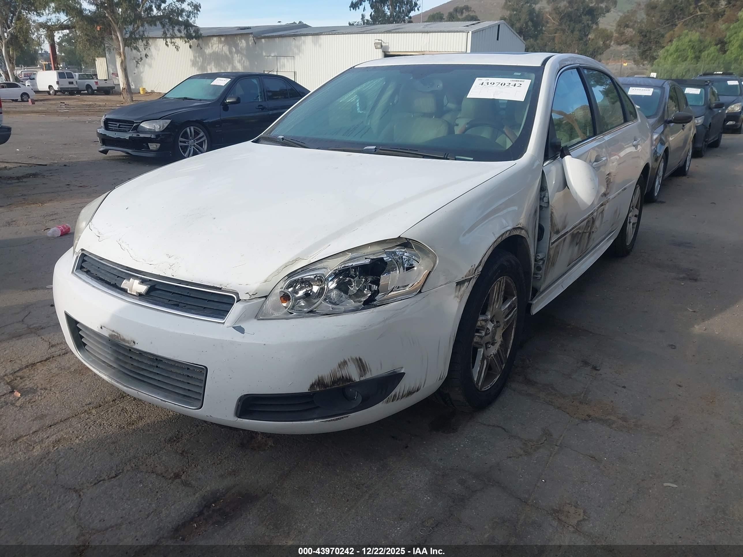 CHEVROLET IMPALA image 2