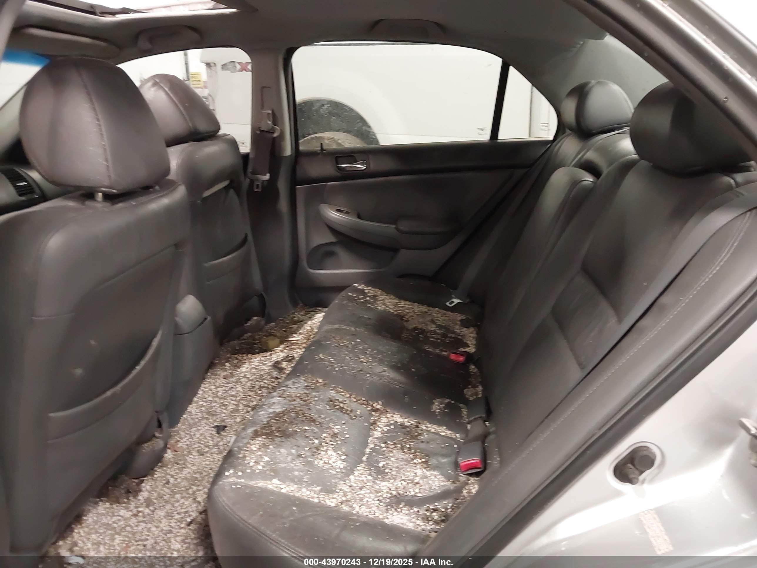 HONDA ACCORD image 8