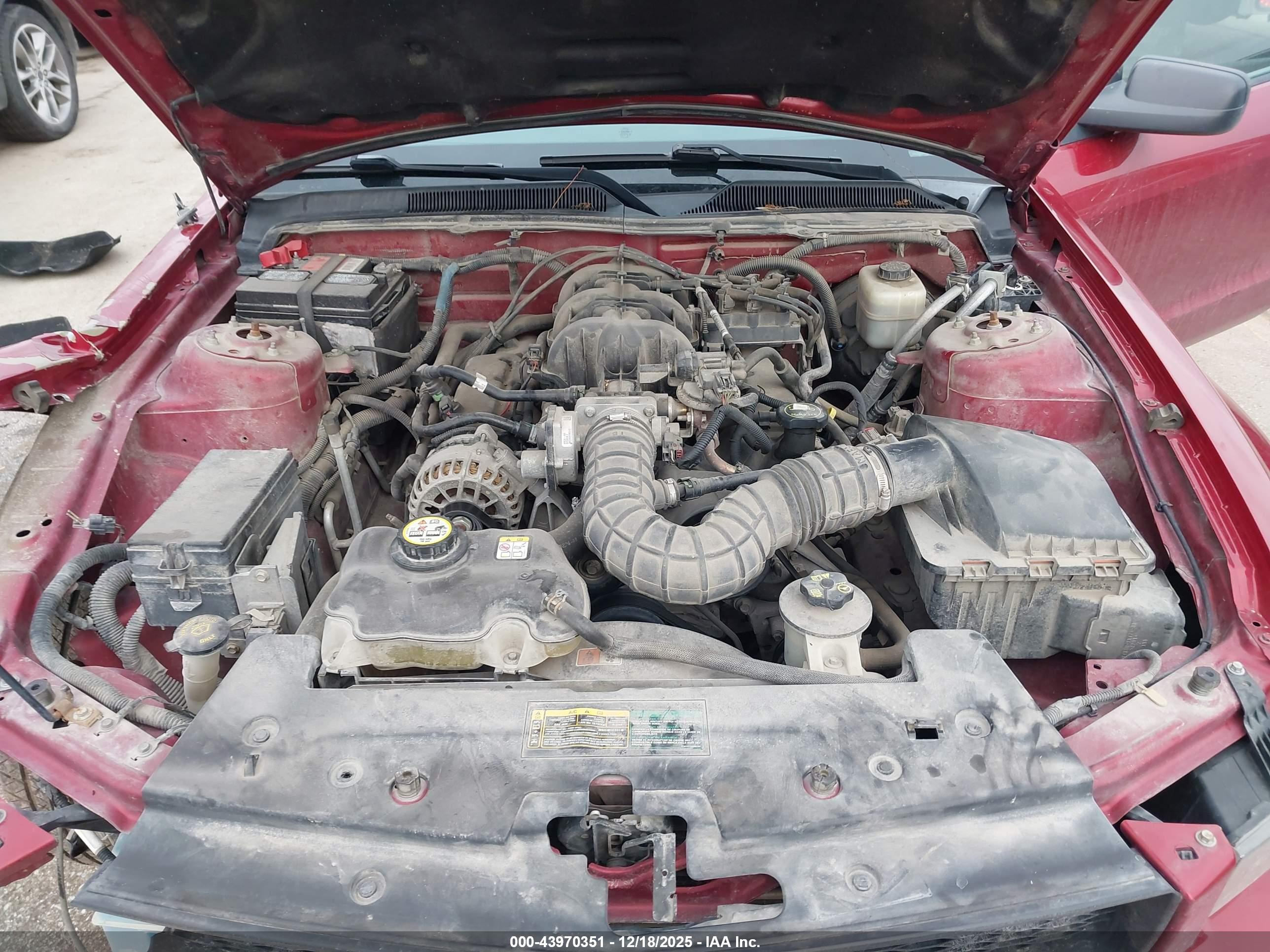 FORD MUSTANG image 10