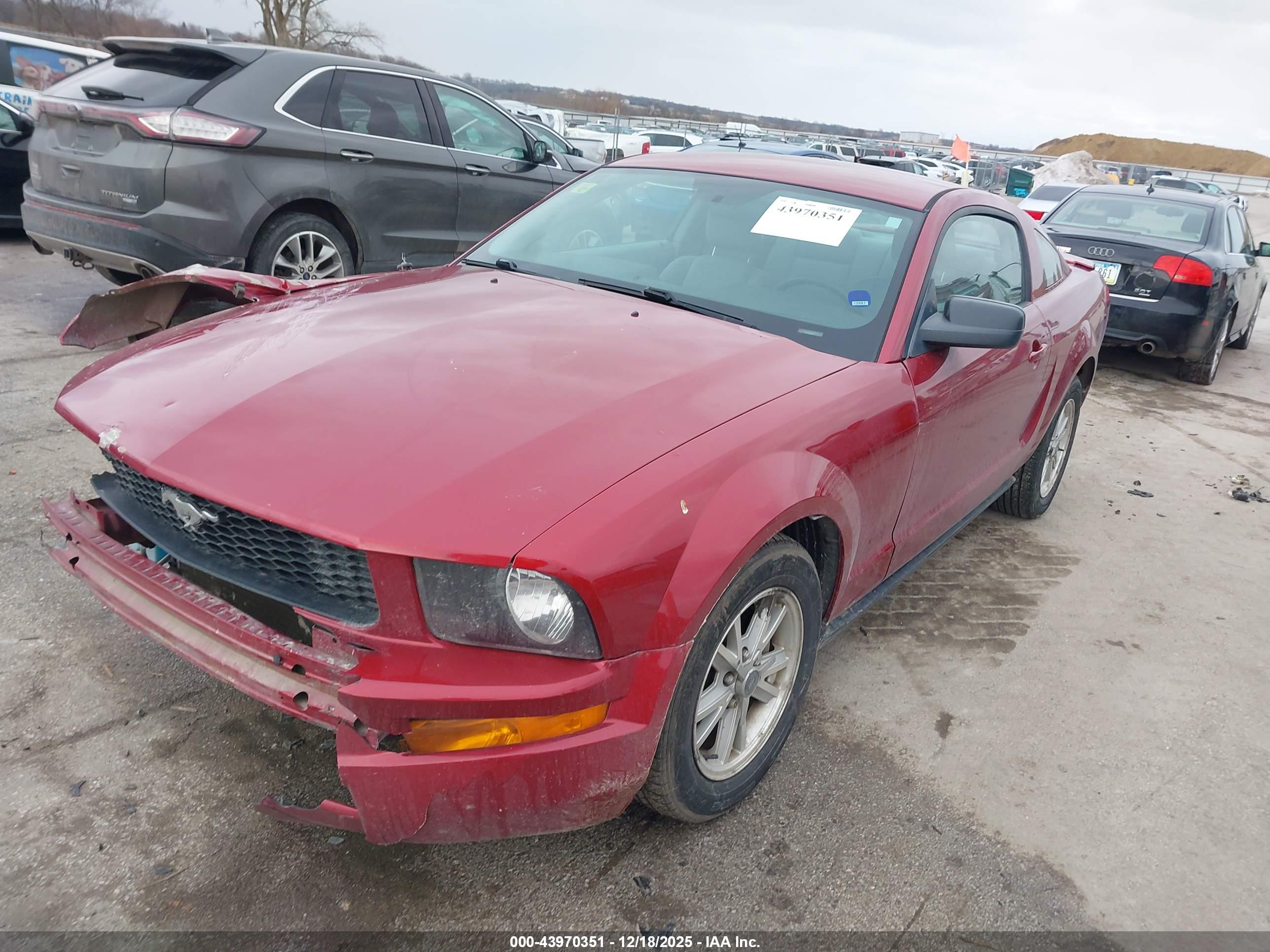 FORD MUSTANG image 2