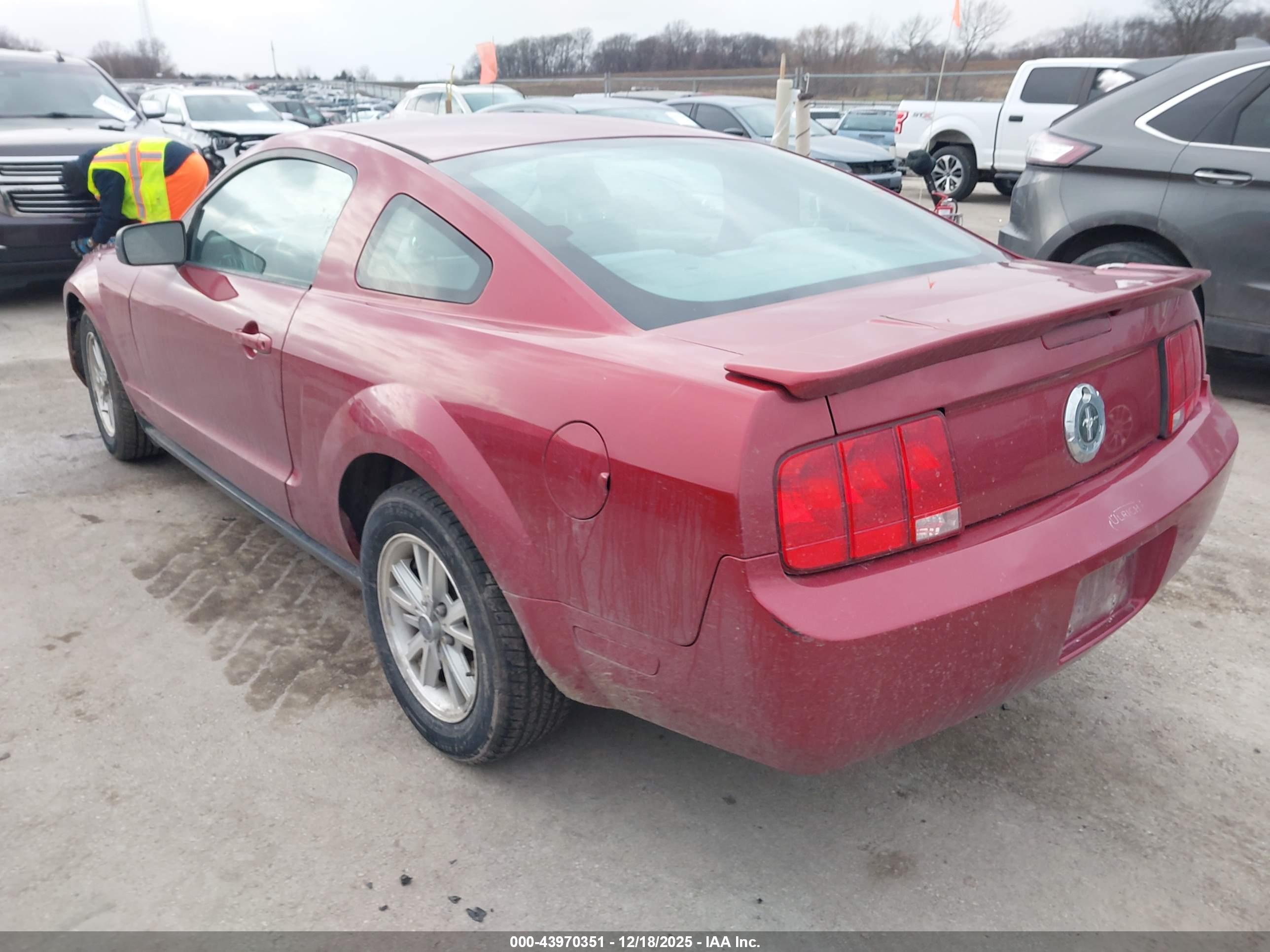 FORD MUSTANG image 3