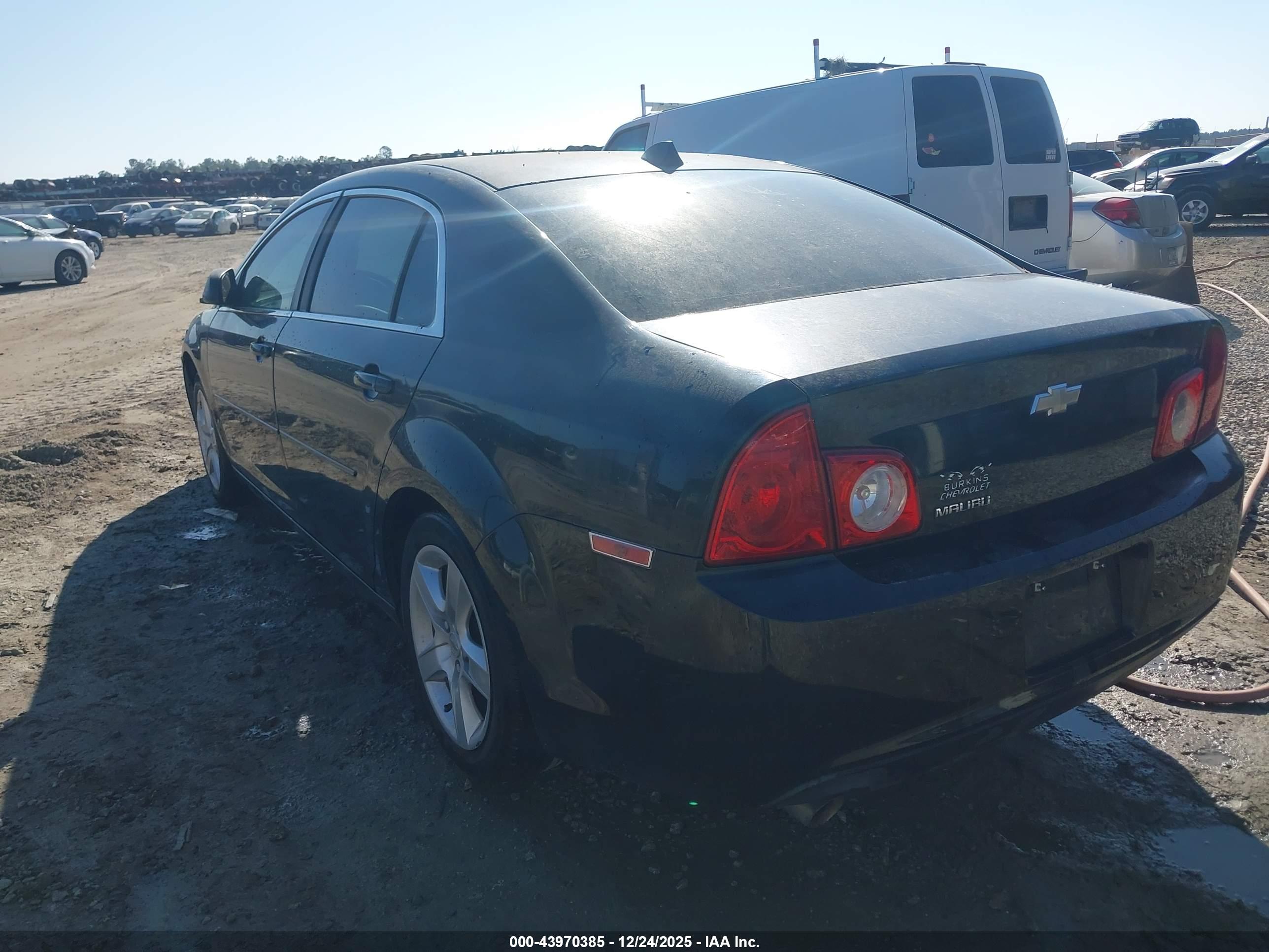 CHEVROLET MALIBU image 3