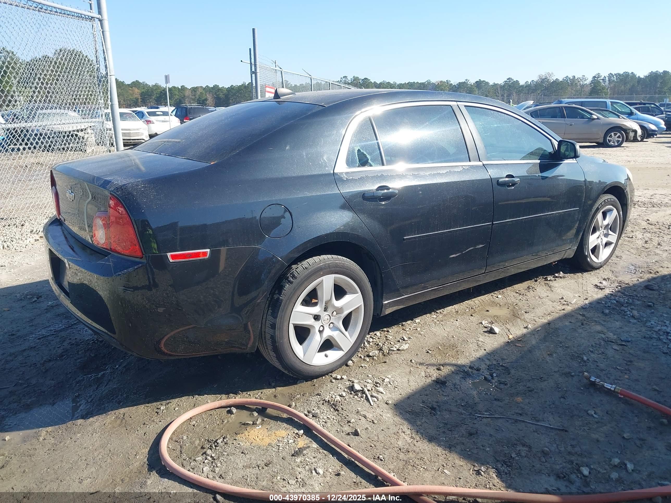 CHEVROLET MALIBU image 4
