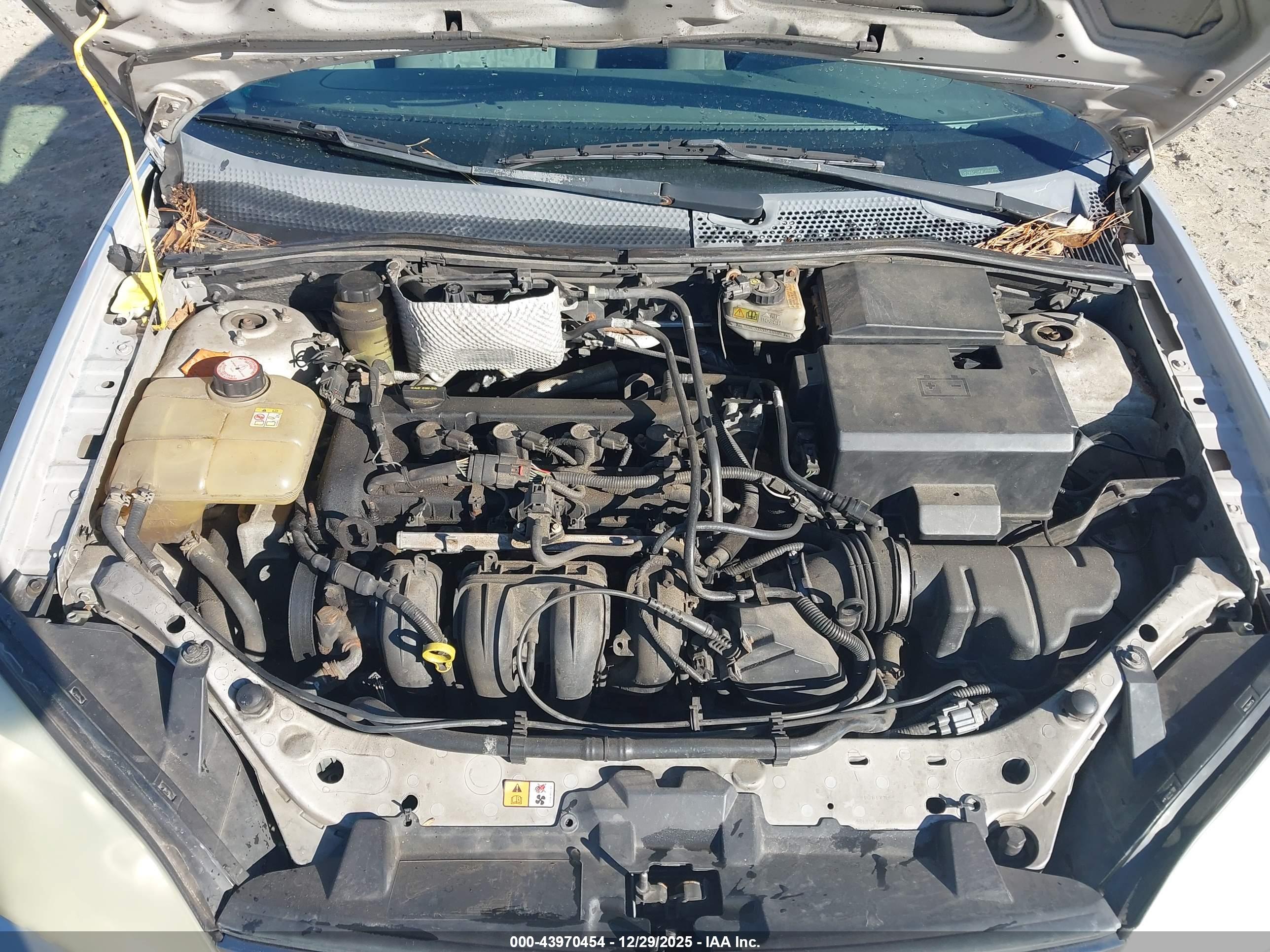 FORD FOCUS image 6