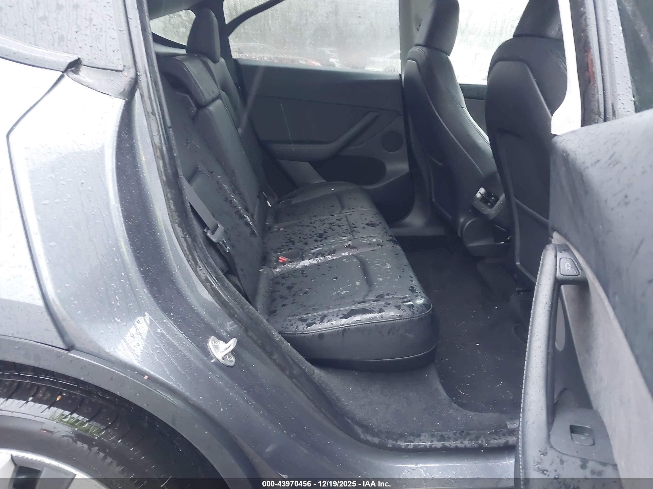 TESLA MODEL image 8